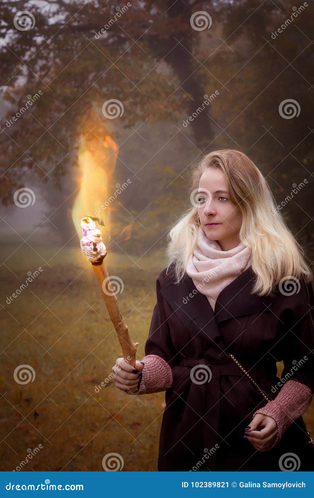Young woman with a torch stock image. Image of forest 102389821