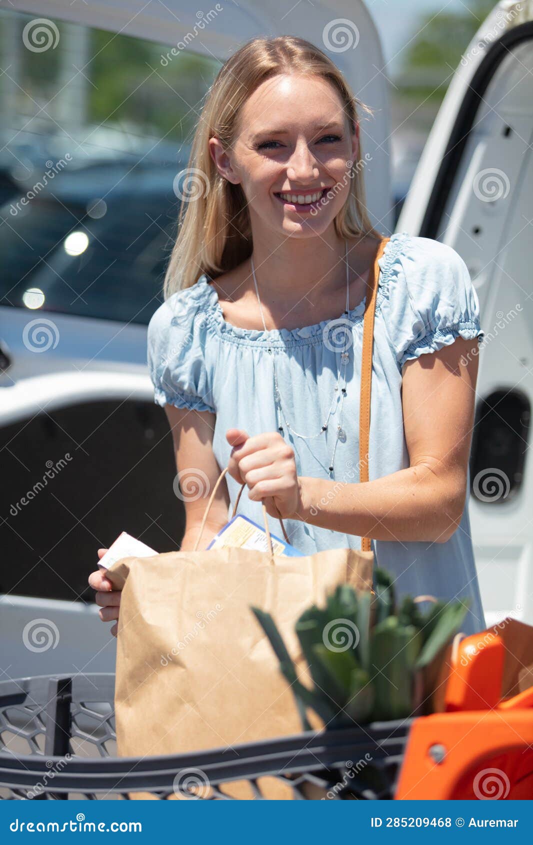 Young Woman Unloading Groceries Stock Photo Image of girl, woman