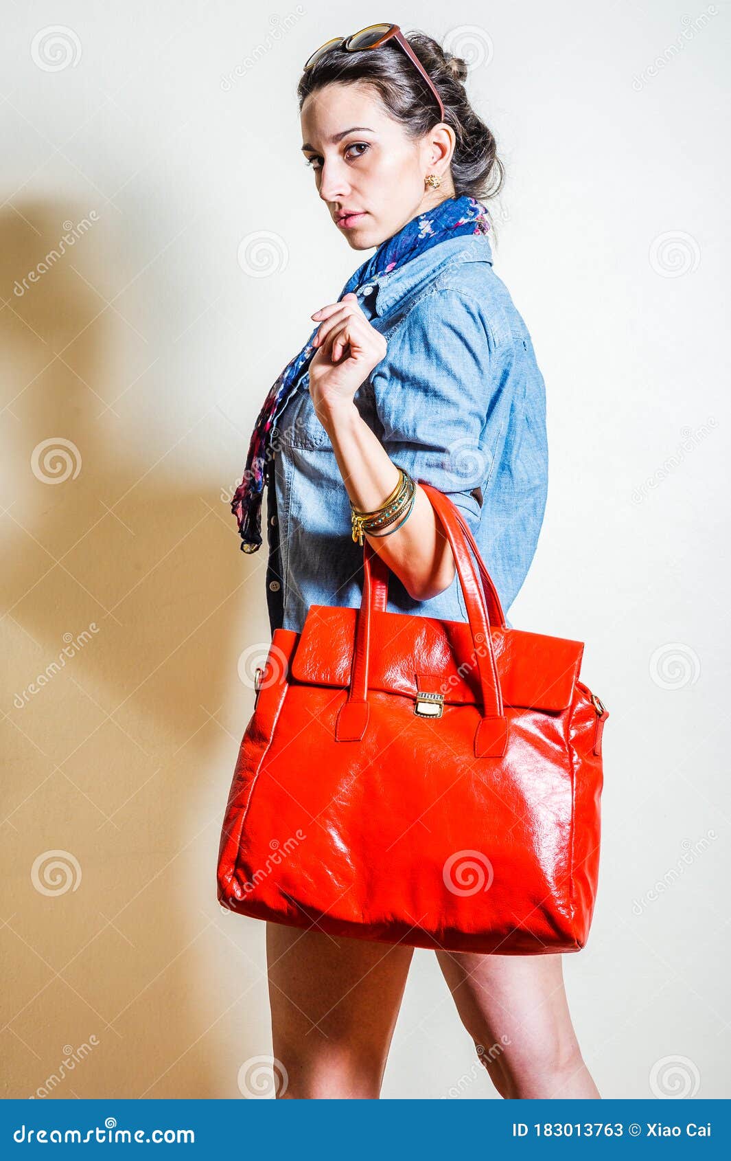 Lady and Bag stock image. Image of female, purse, scarf - 183013763