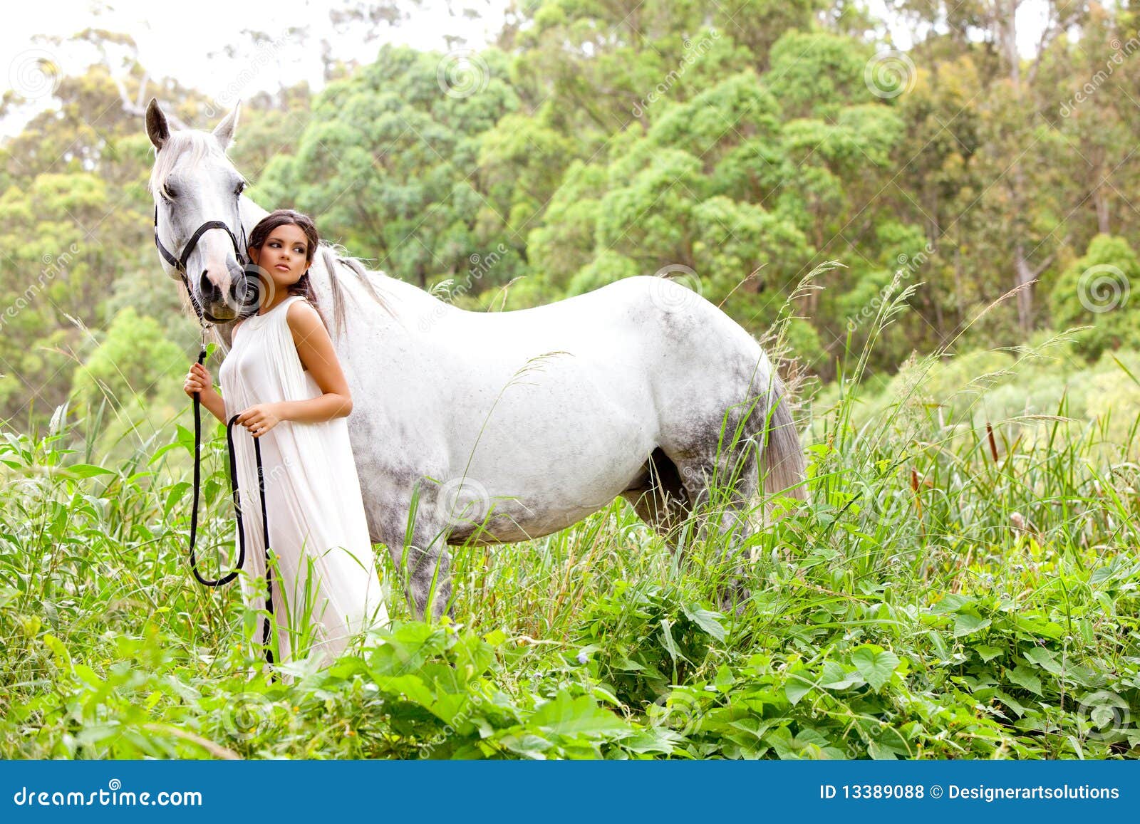 Young Woman With A White Horse Stock Image - Image of 