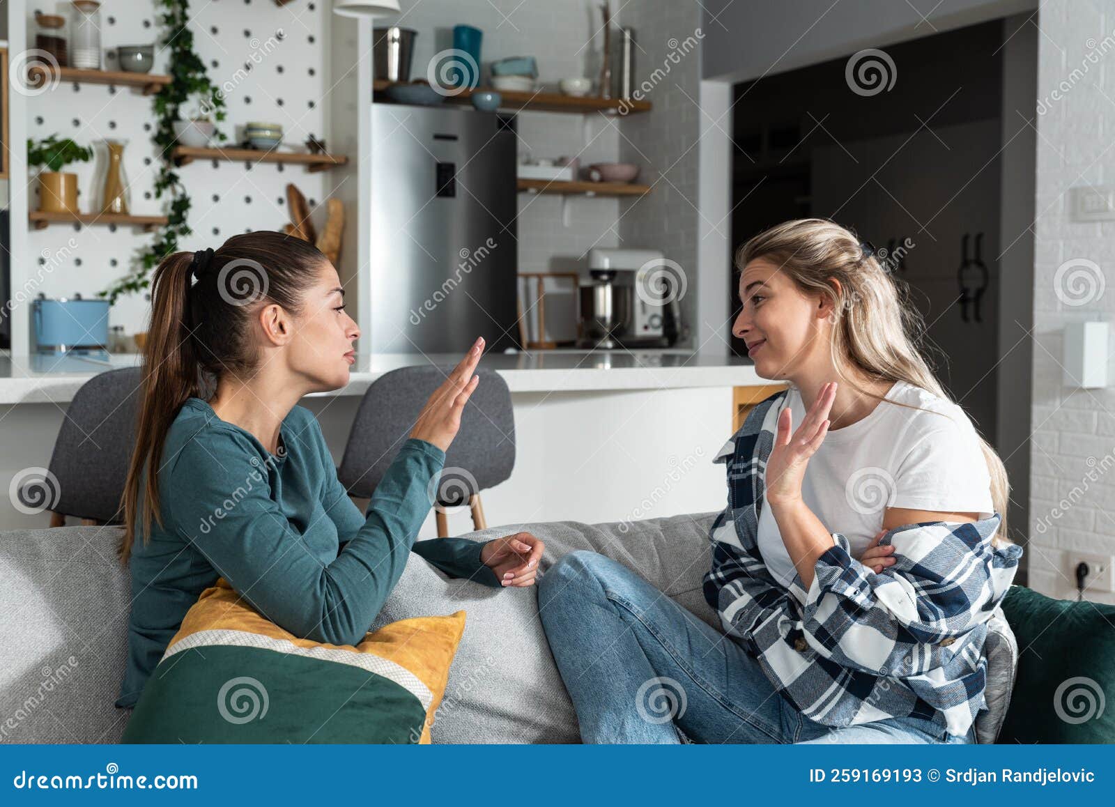 Young Women Lesbian Couple Lgbtq Roommates Having Argue Due The