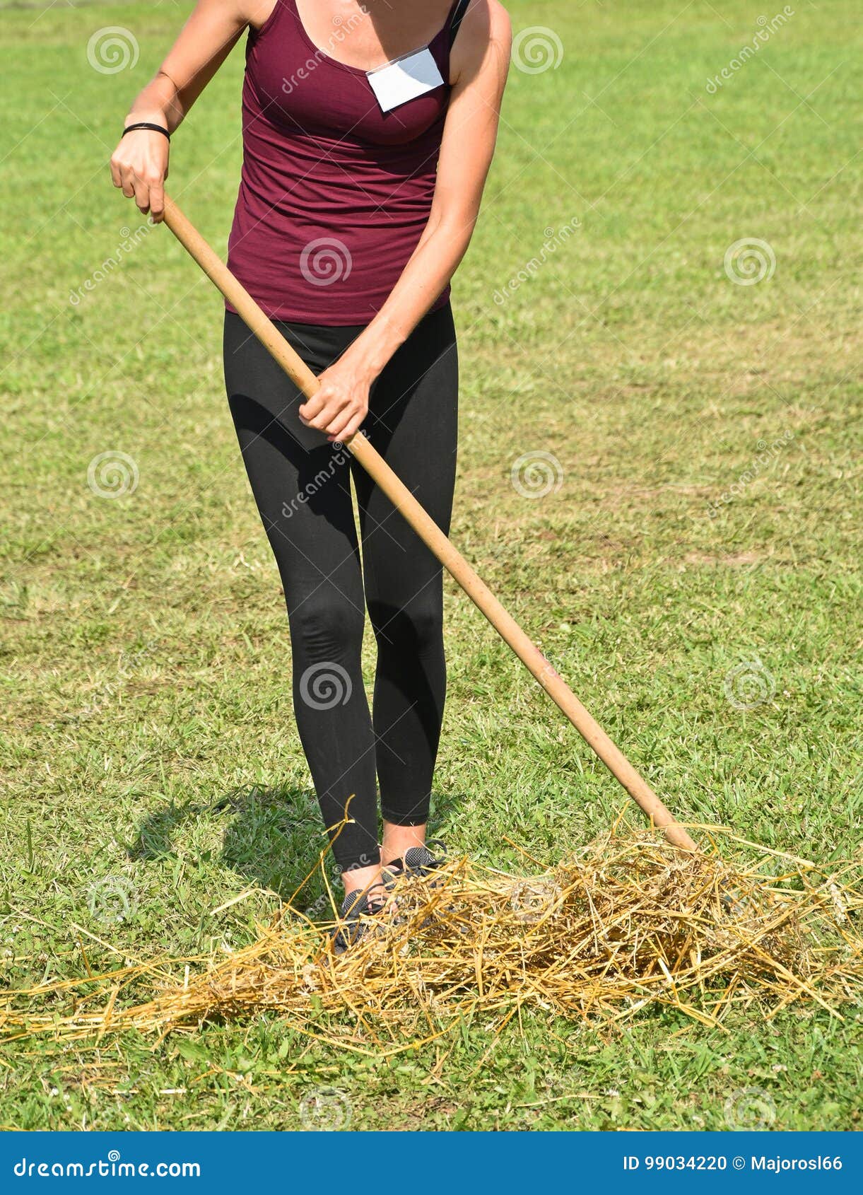 Young Women Rake Hay on the Meadow Stock Photo Image of summer, woman