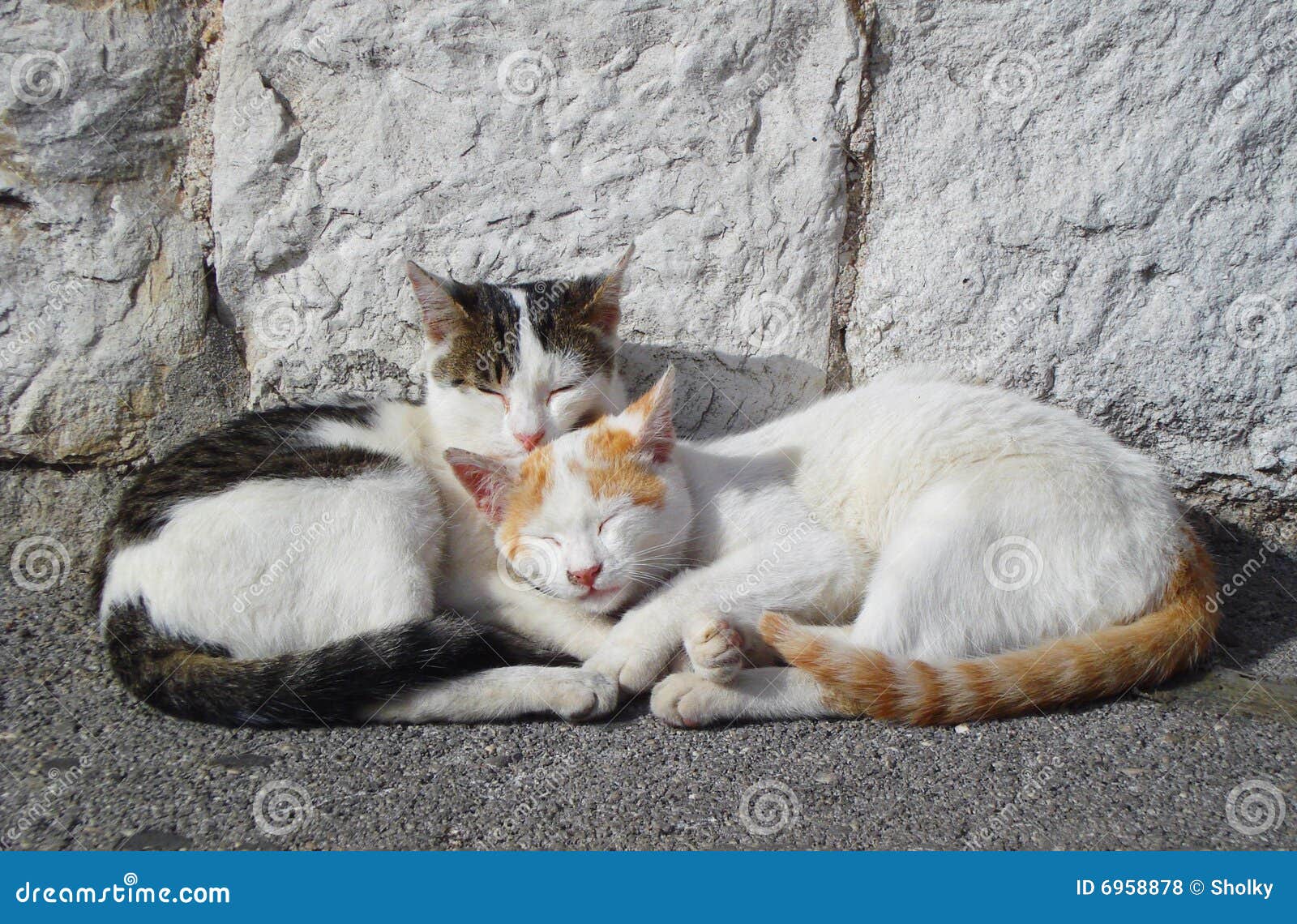 In your arms stock photo. Image of friend, split, hugging 6958878