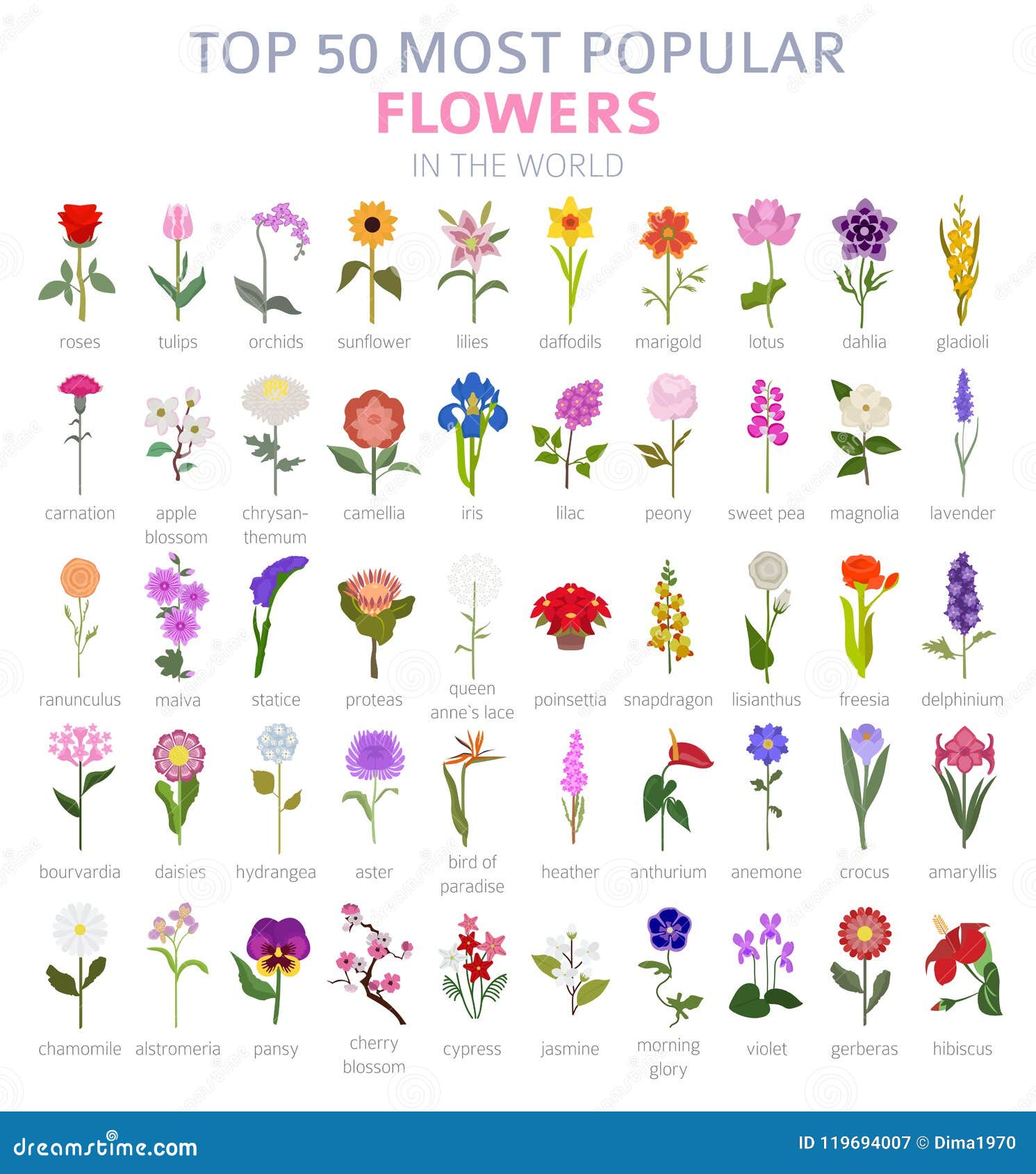 Your Garden Guide. Top 50 Most Popular Flowers Infographic Stock Vector ...