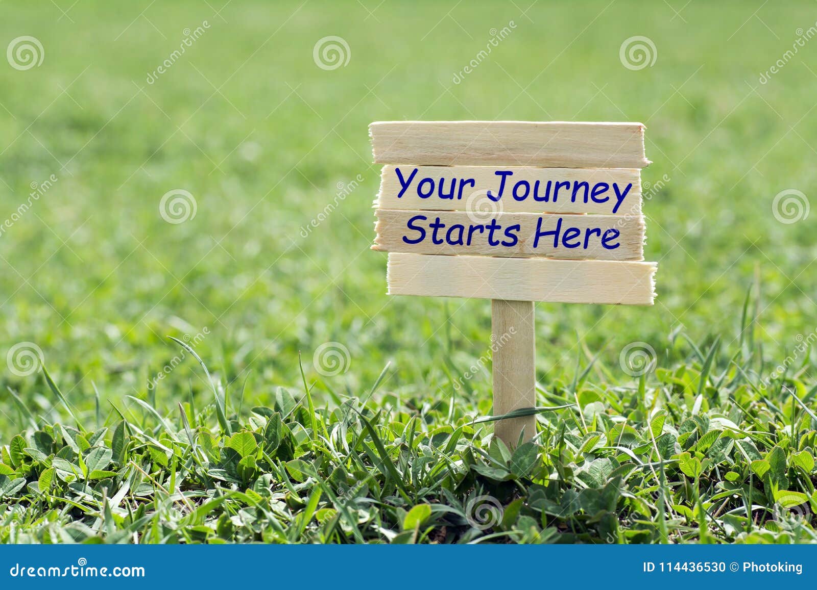 your journey starts here
