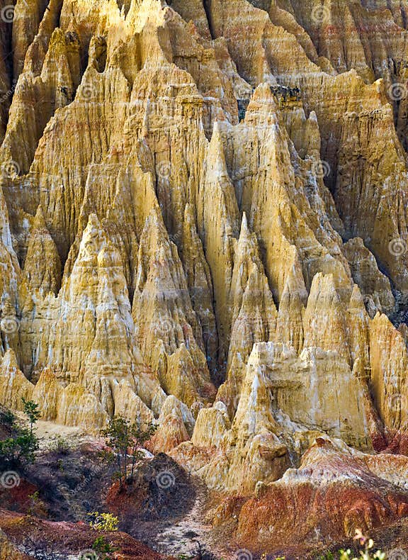 Yuanmou Earth Forest is a Unique Natural Wonder. it Features ...