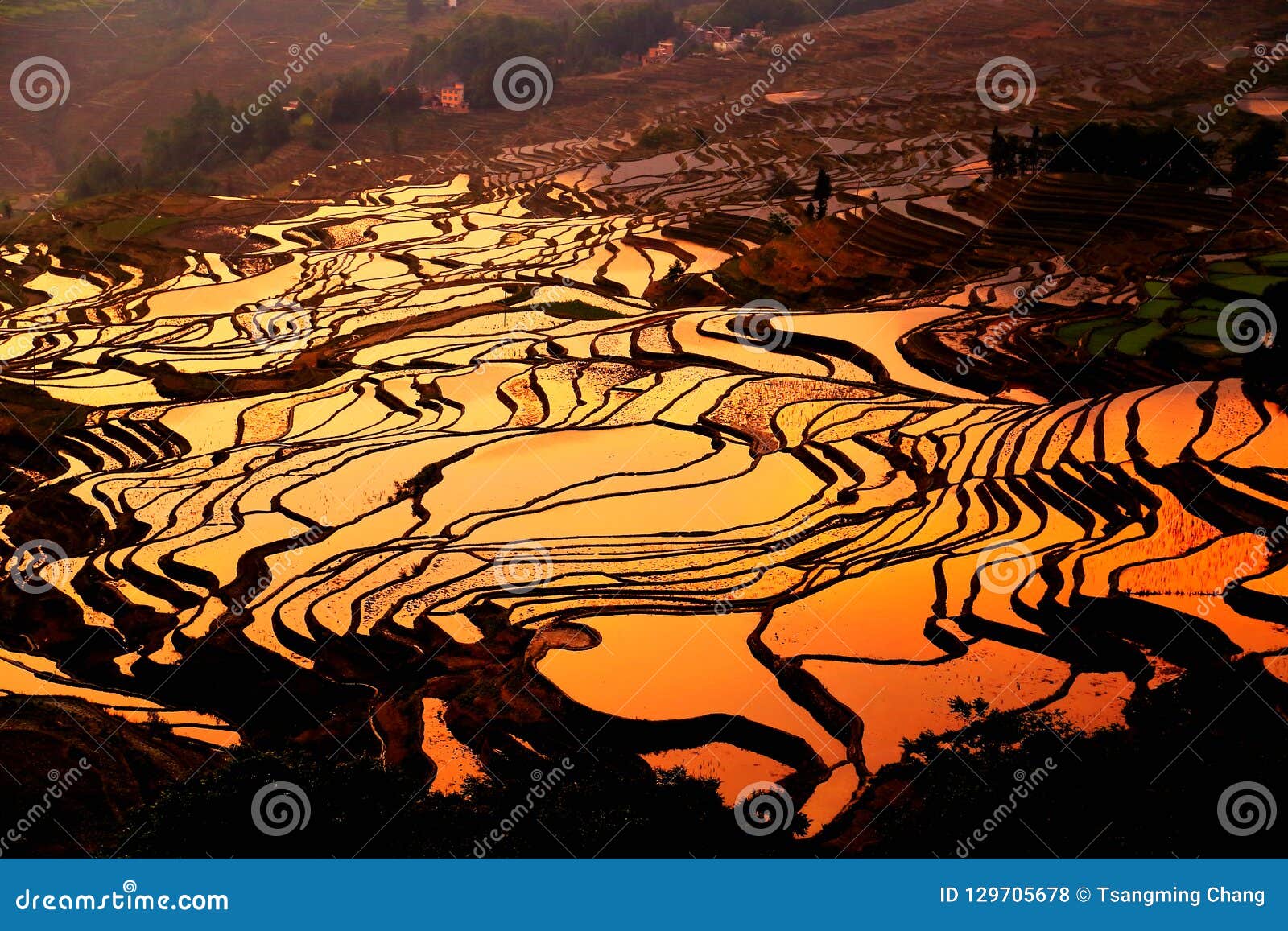 Yuenyang哈妮大阳台日出风景在云南，中国. 原阳米大阳台位于哀牢山脉山南部在原阳县，云南 它一代代是哈妮人杰作  在2013年，红河哈妮大阳台在世界遗产名录名单上顺利地被列出了