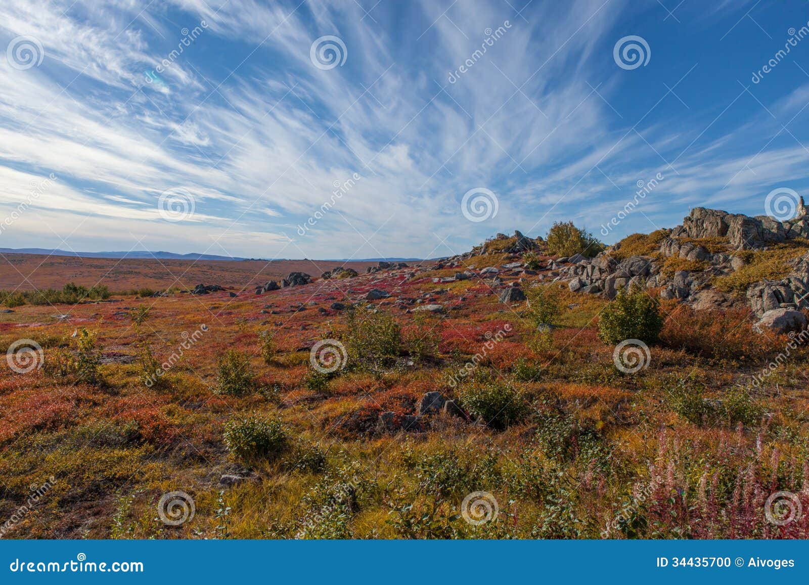 yukon arctic tundra in fall colors