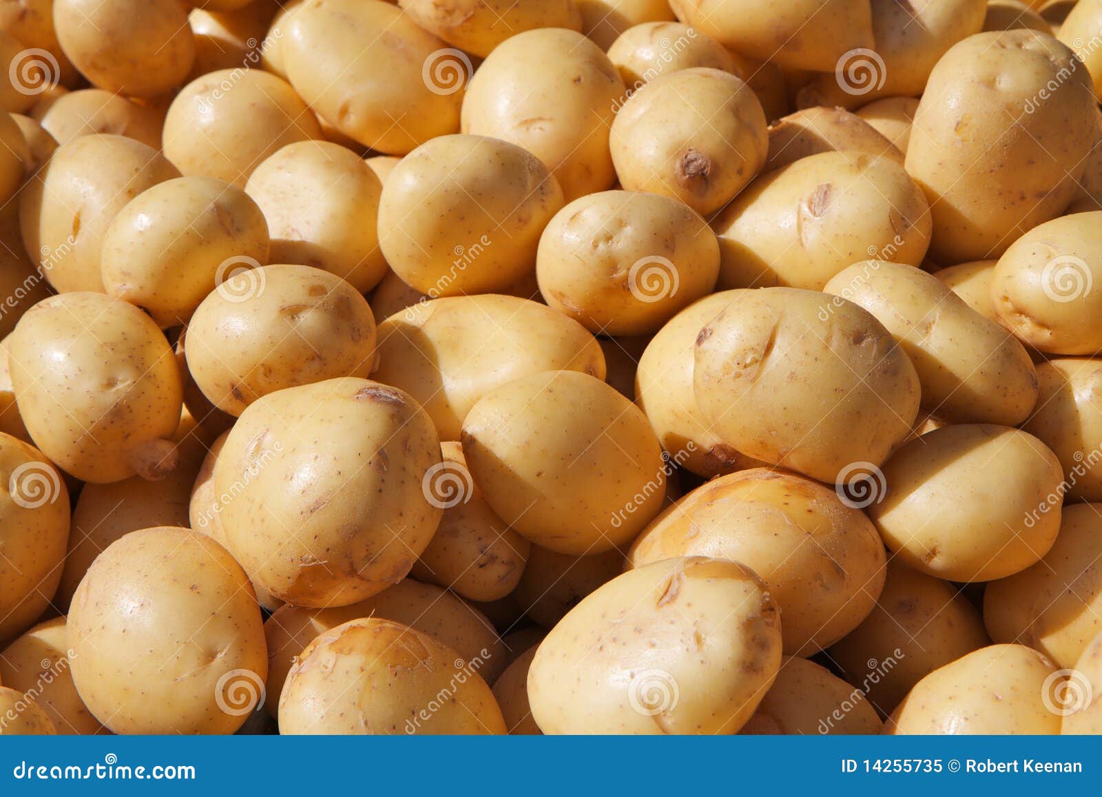 Yukon Gold Potatoes stock image. Image of bulk, roasted 14255735