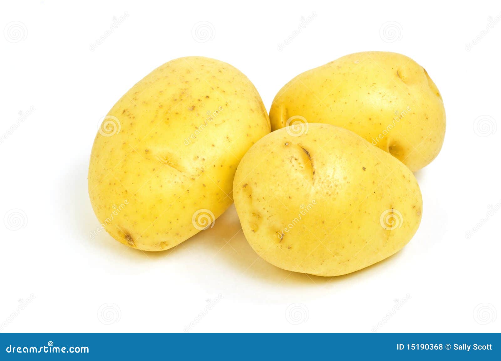 Yukon Gold potatoes stock photo. Image of vitamins, diet 15190368