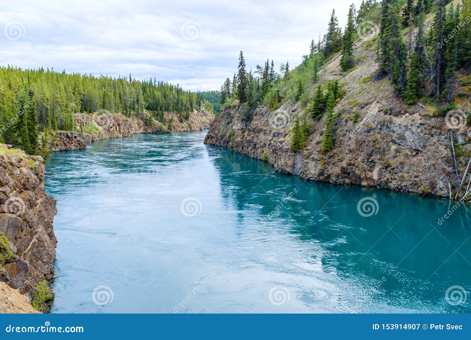 yukon river near whitehorse, canada