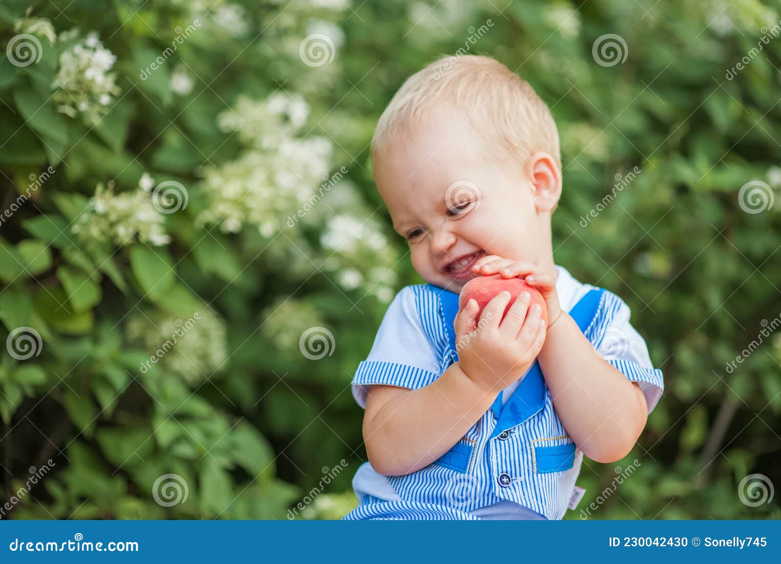 yummy peach and little funny toddler in nature. first feeding of child with peach...