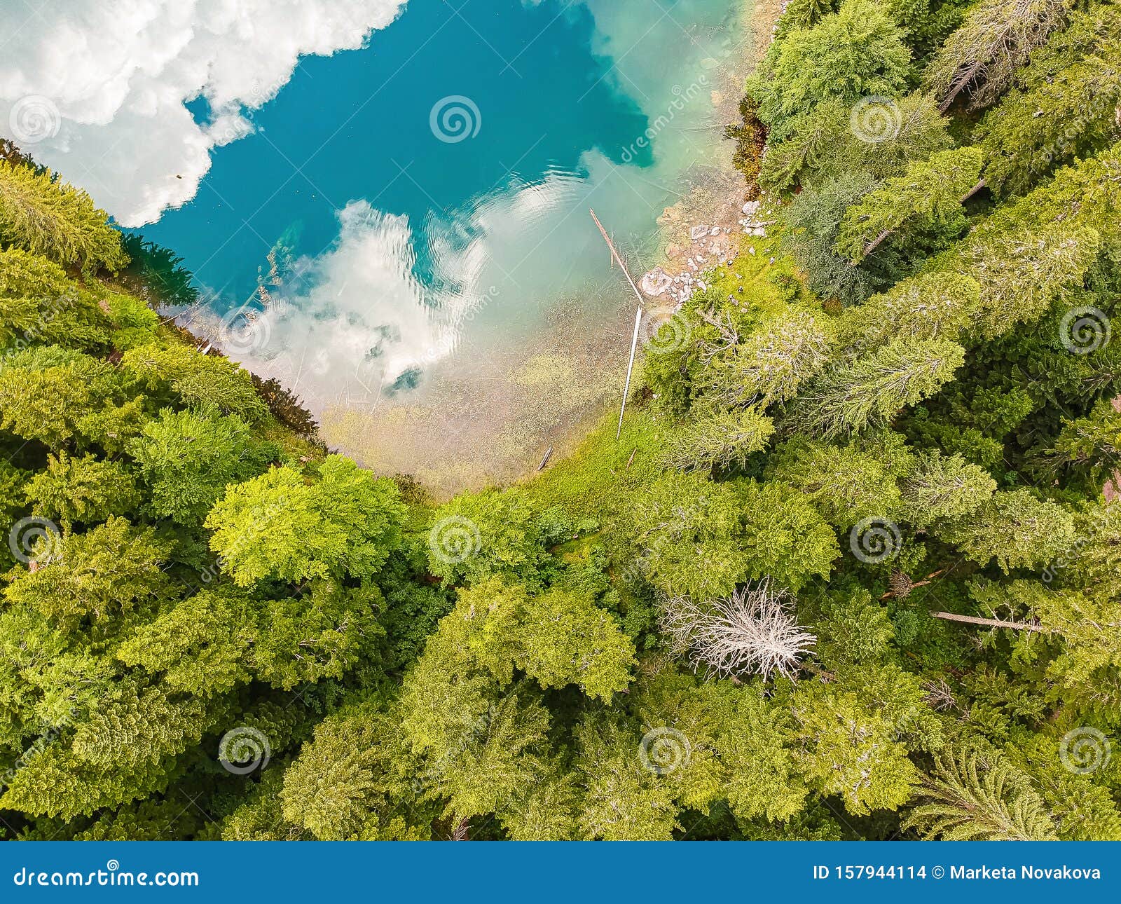 zabojsko lake in national park durmitor, montenegro, europe