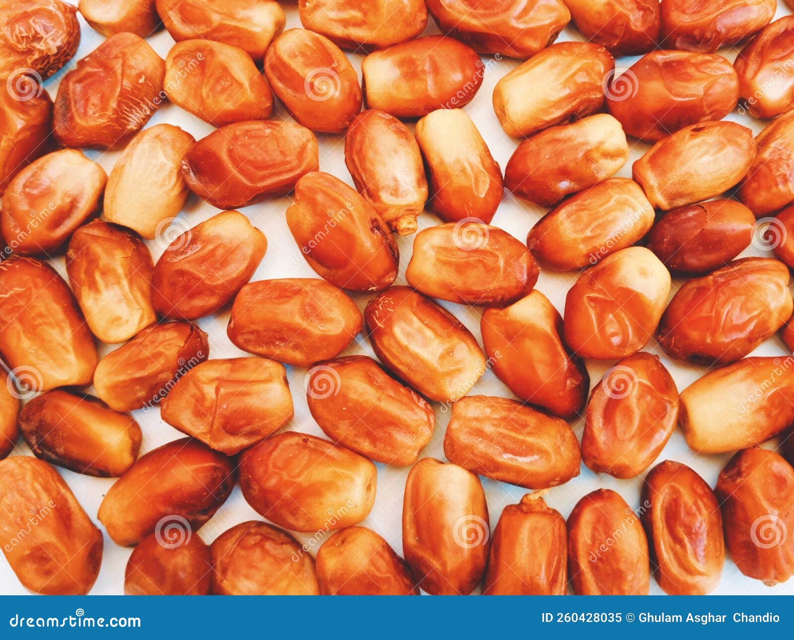 zahedi iranian dates date-palm fruit semi-dry date food irani datepalms khajoor kurma zahidi closeup hi-res view image stock photo