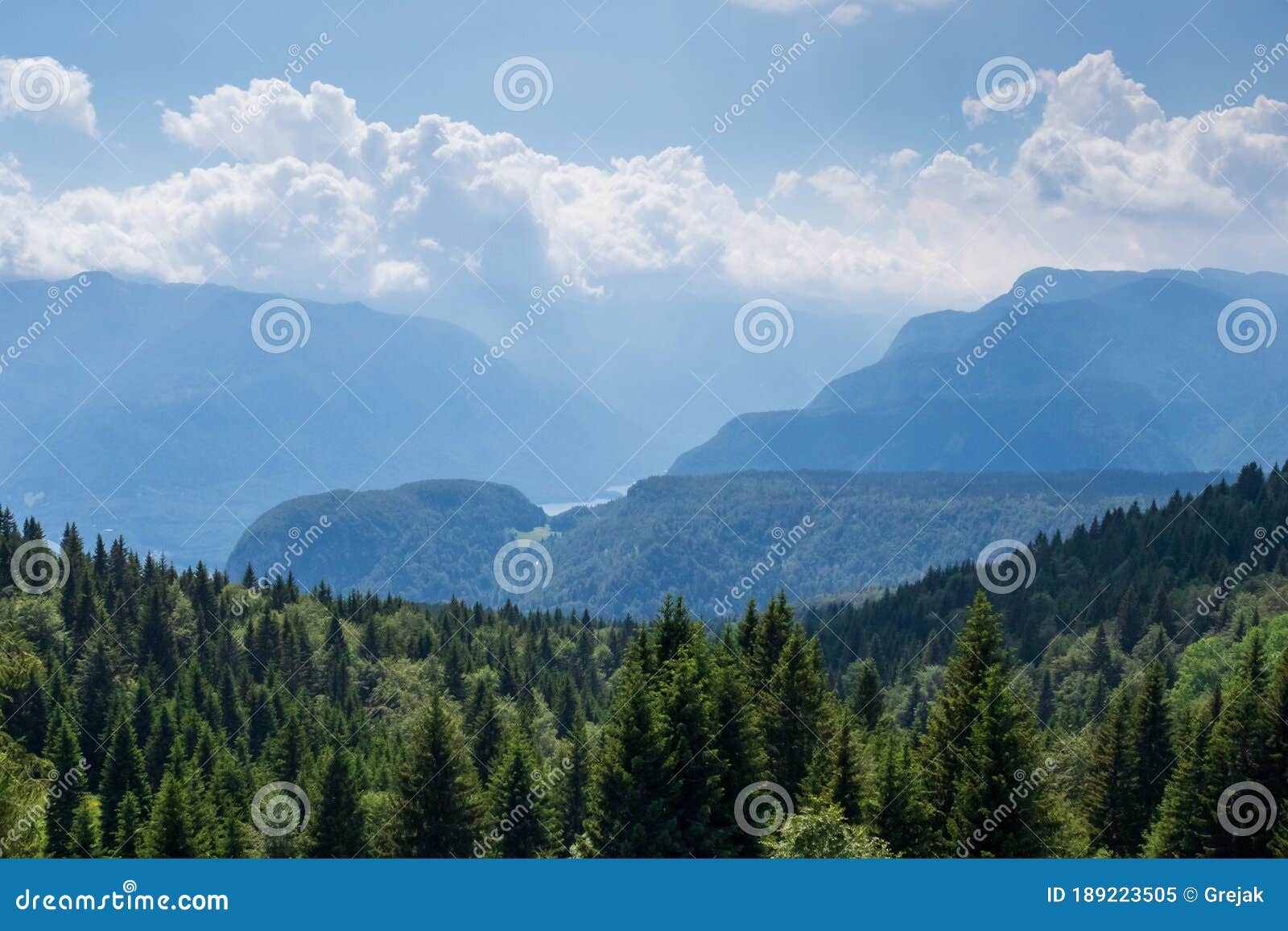 zajamniki on a plateau pokljuka in slovenian alps