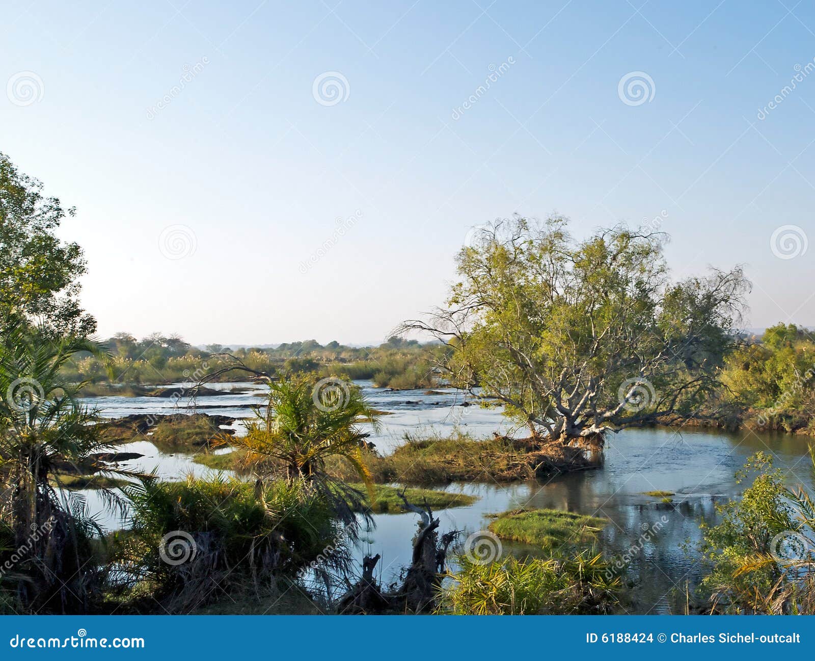 zambezi river in zambia