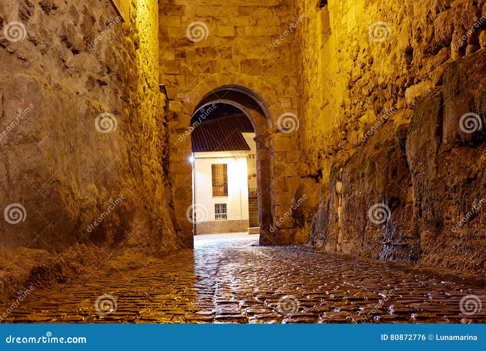 zamora door of dona urraca in spain