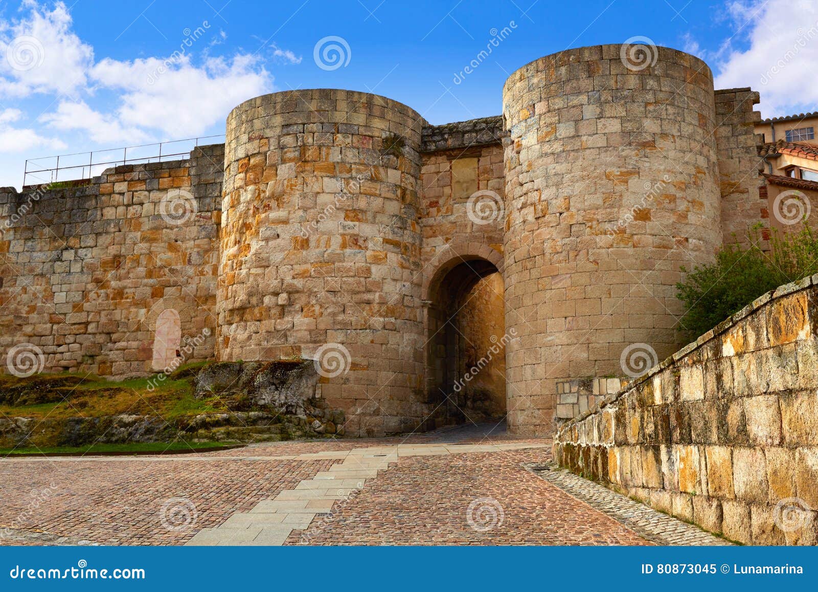 zamora door of dona urraca in spain