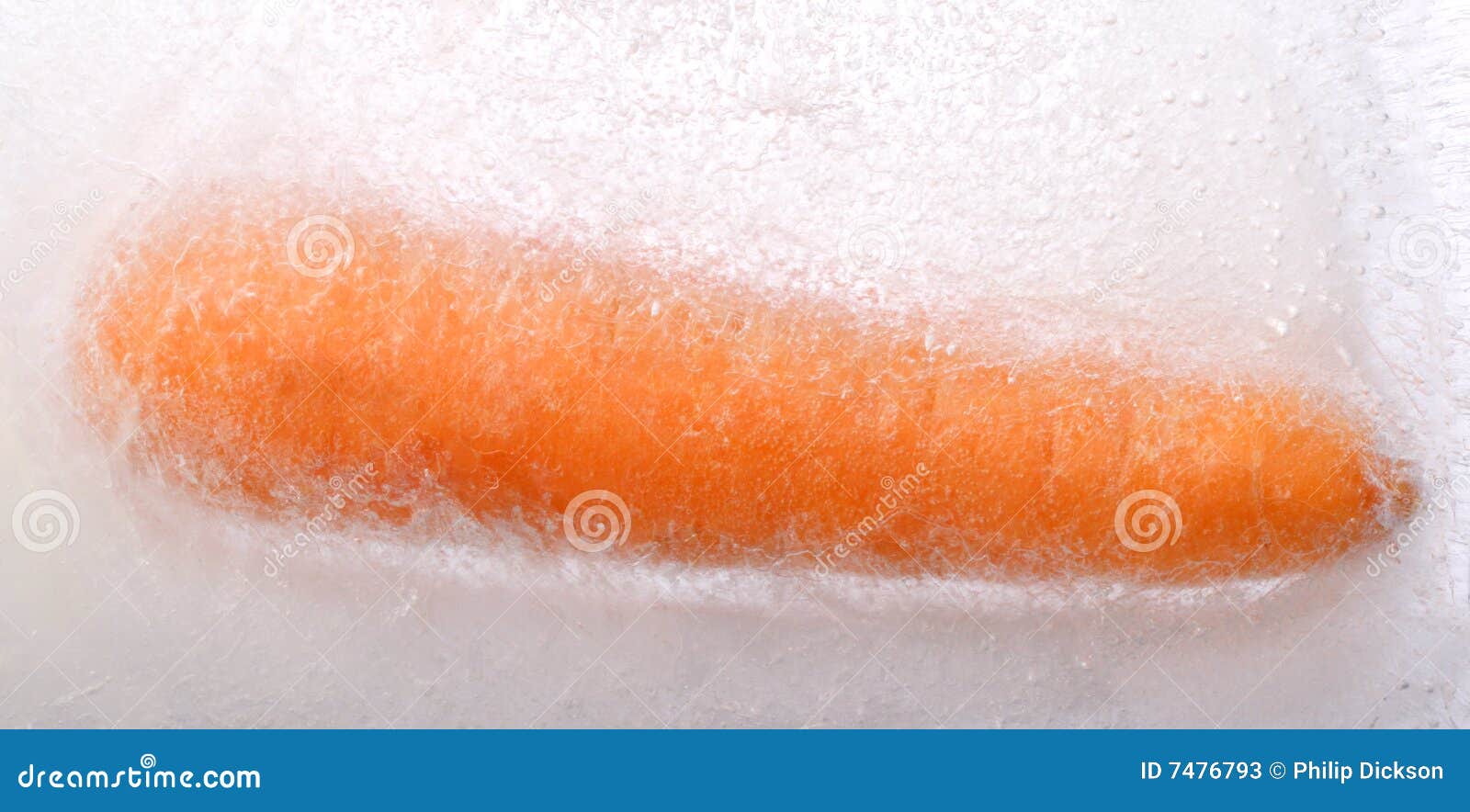 Zanahoria congelada imagen de archivo. Imagen de estructura - 7476793