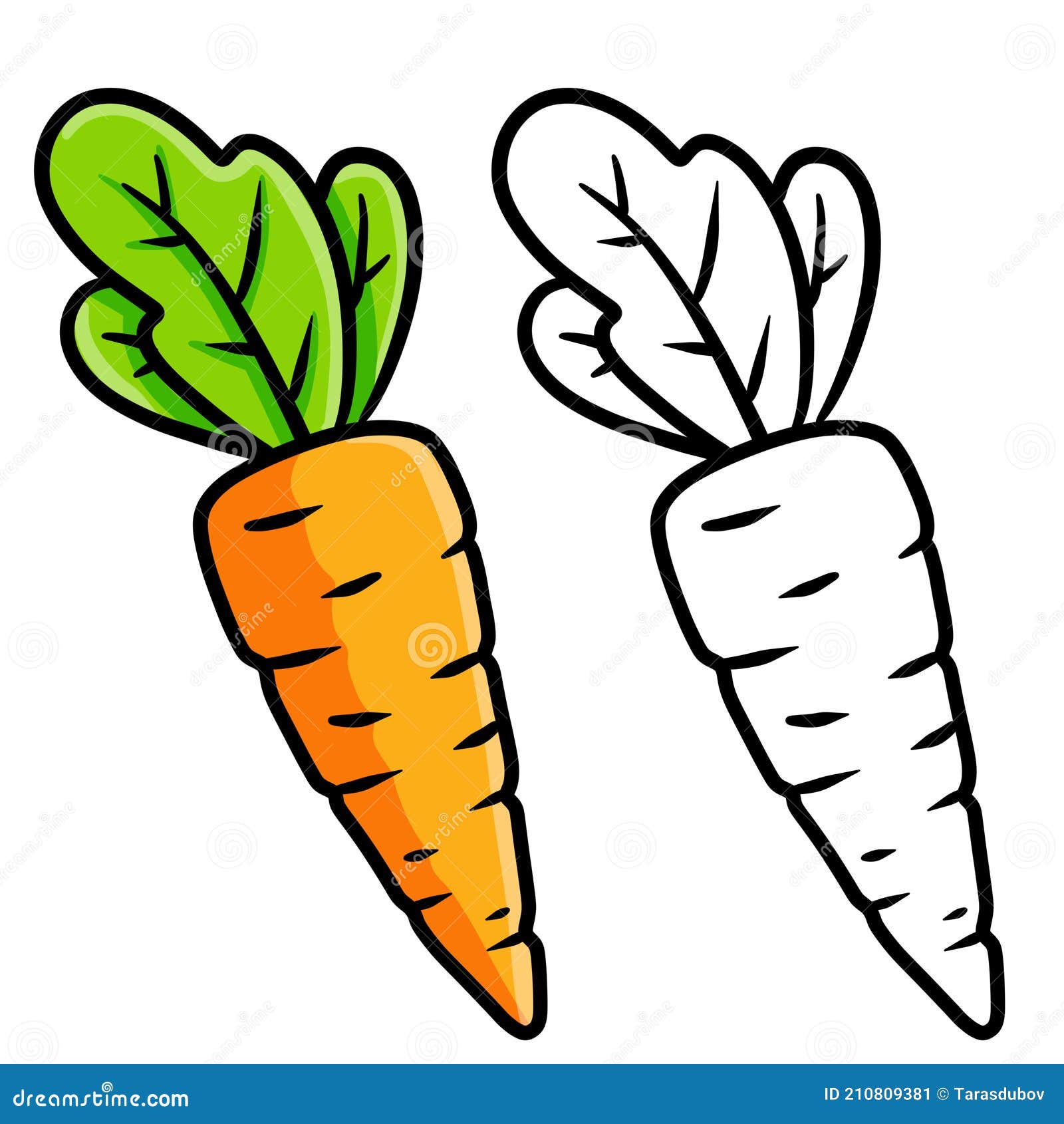 Zanahoria. Juego De Verduras. El Boceto Y La Ilustración De Dibujos Animados  Ilustración del Vector - Ilustración de salud, comer: 210809381