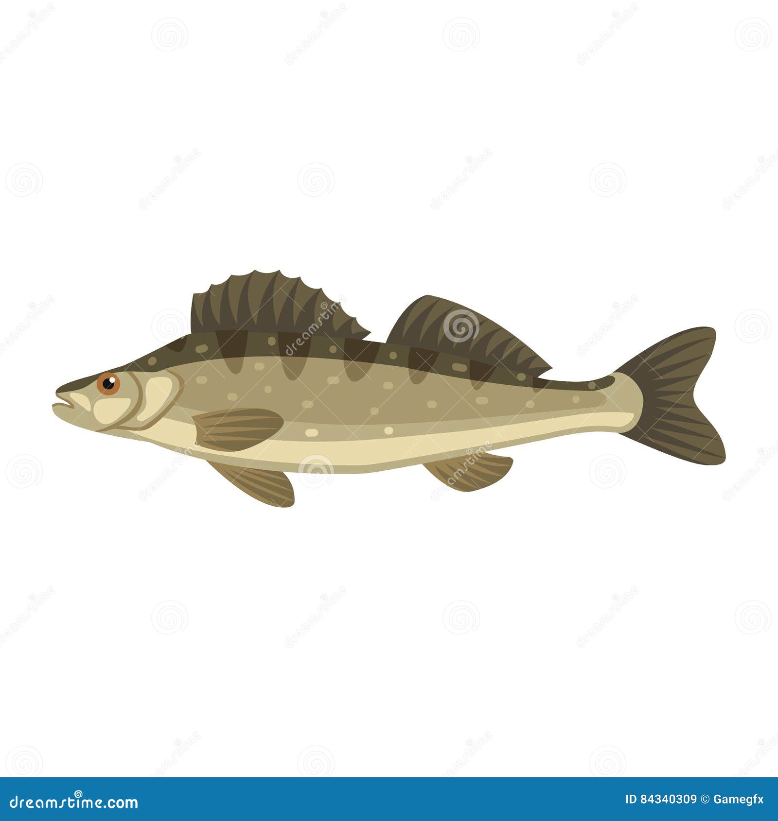 Zander Fish Stock Illustrations – 507 Zander Fish Stock Illustrations,  Vectors & Clipart - Dreamstime