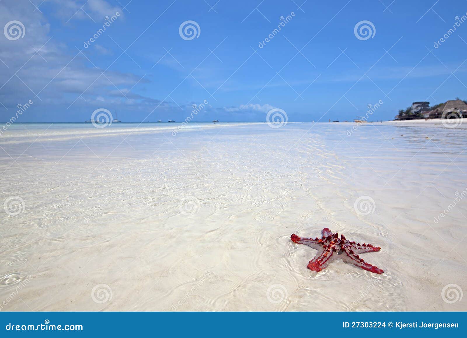 zanzibar beach