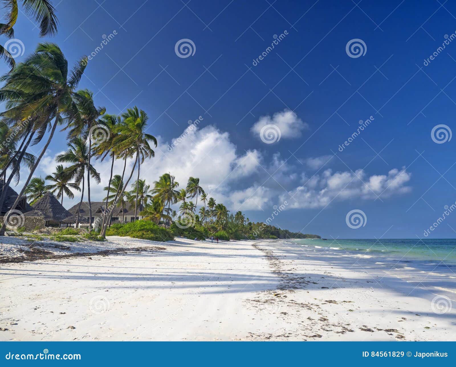 zanzibar beach