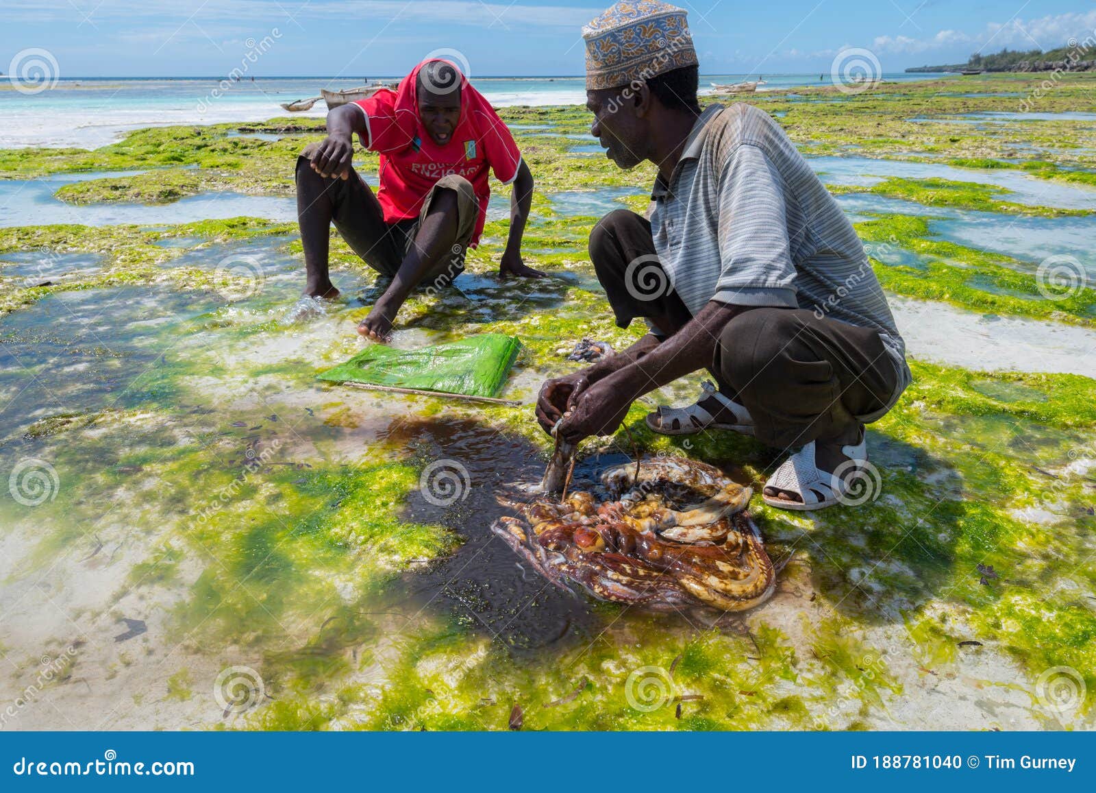 Octopus Fishing on the Eastern Coast of Zanzibar Editorial Image