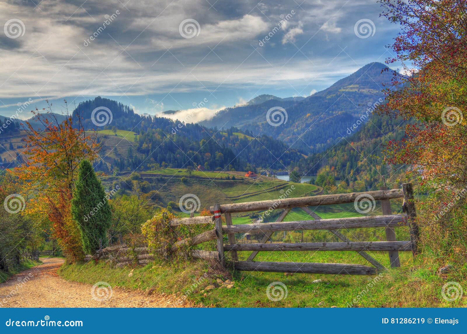 zaovine lake, western serbia - autumn picture