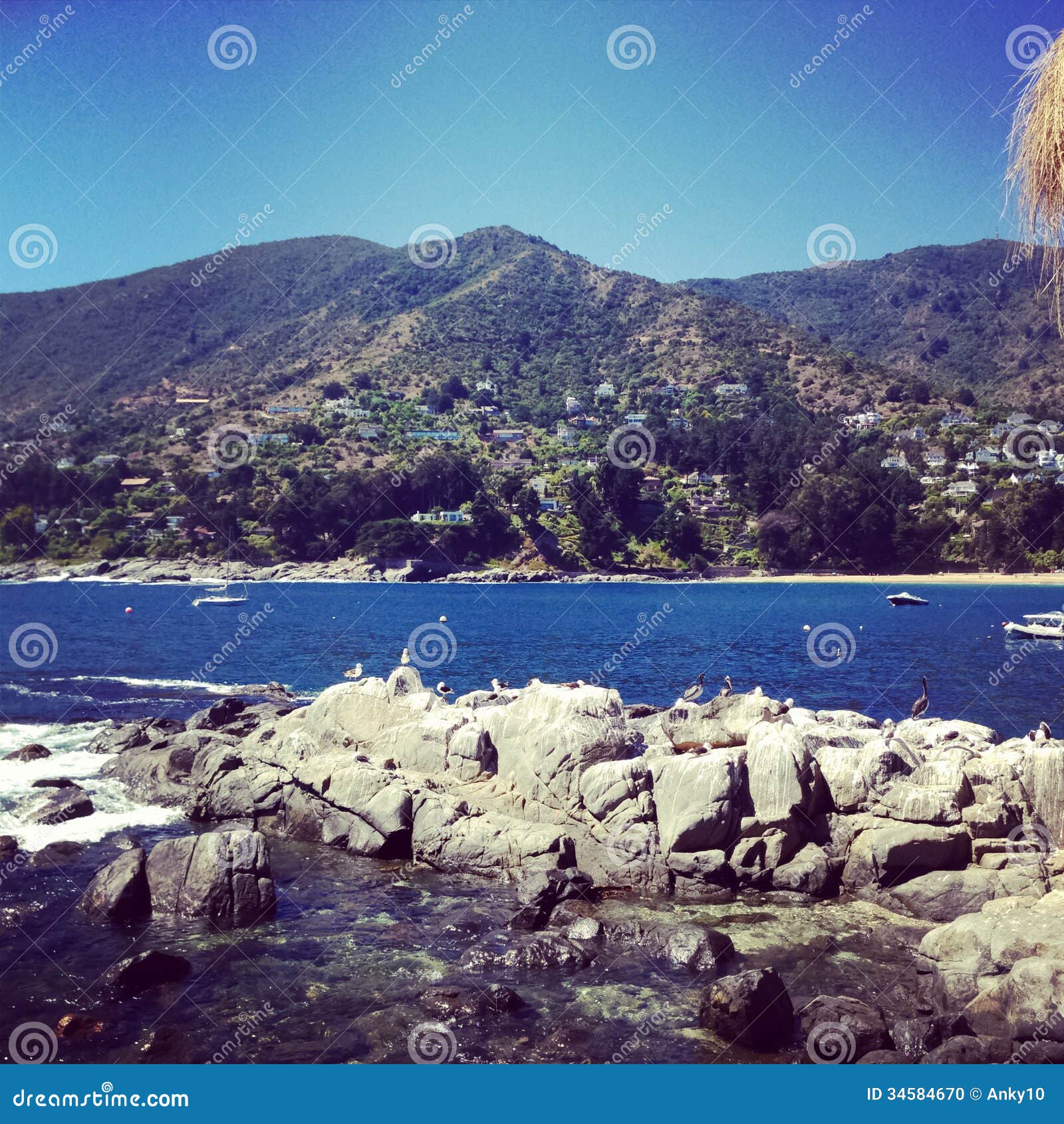 Zapallar, costa de Chile foto de archivo. Imagen de océano 34584670