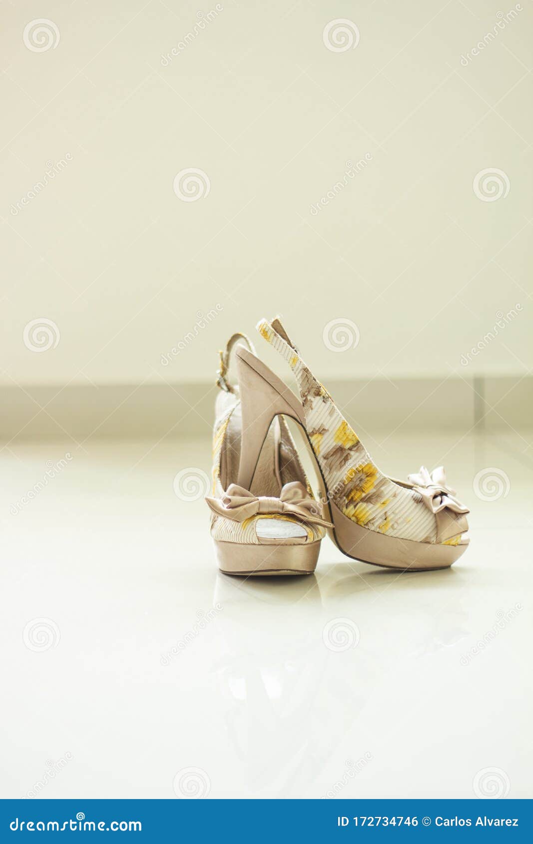 Zapatos De Casamiento En El Suelo Contra Foto de archivo - de suelo, zapatos: 172734746