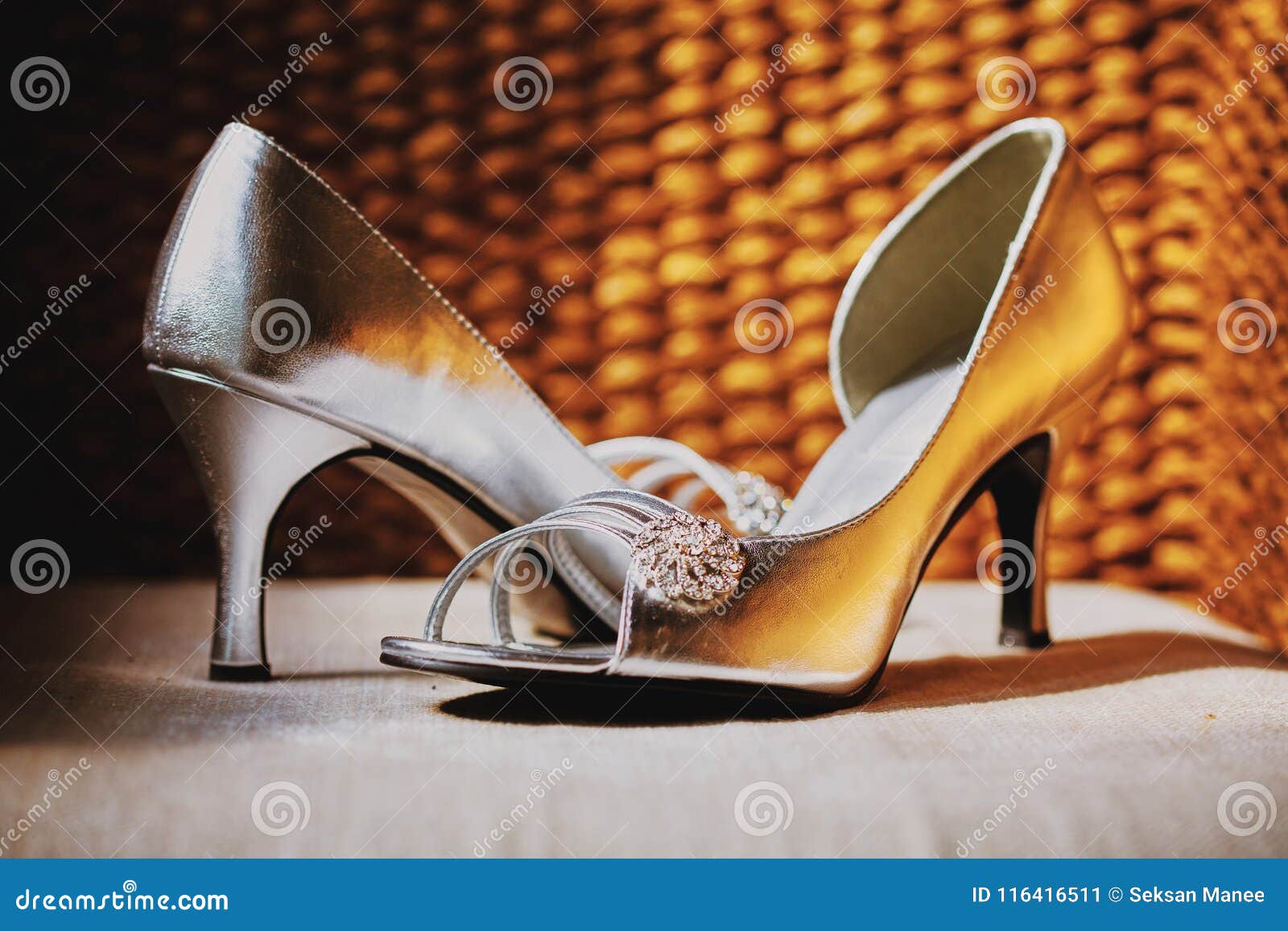 Zapatos De Plata Hermosos De Las Mujeres Del Color Con La