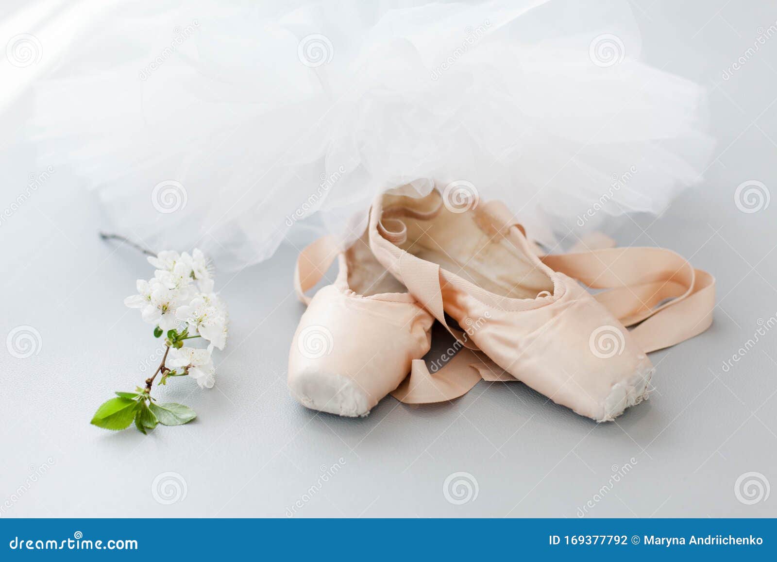 Zapatos De Punta Ballet Y De Tutu Blanco Sobre Fondo Gris Con Flores De Sakura Florecientes Concepto De Baile Foto de - Imagen de falda, estudio: 169377792