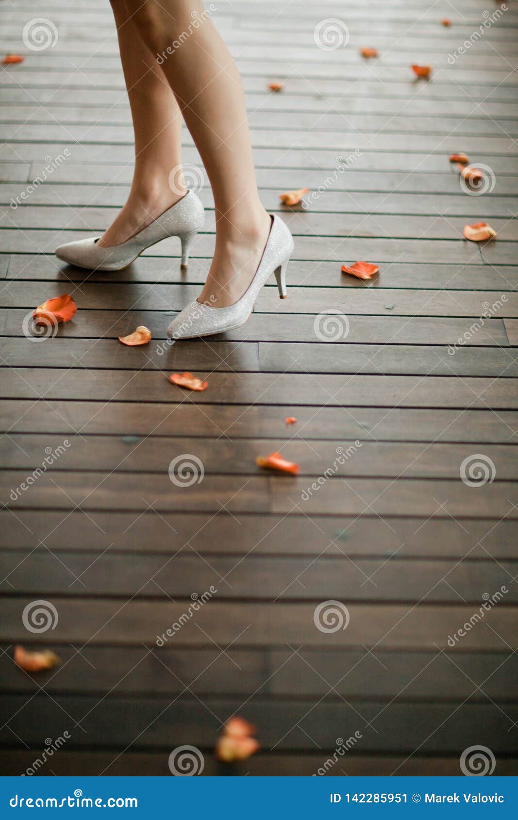 Monica Implacable Útil Zapatos Elegantes En Los Talones En Color Plata En La Pierna De La Mujer -  Pétalos Para Las Rosas Alrededor Imagen de archivo - Imagen de pétalos,  zapato: 142285951