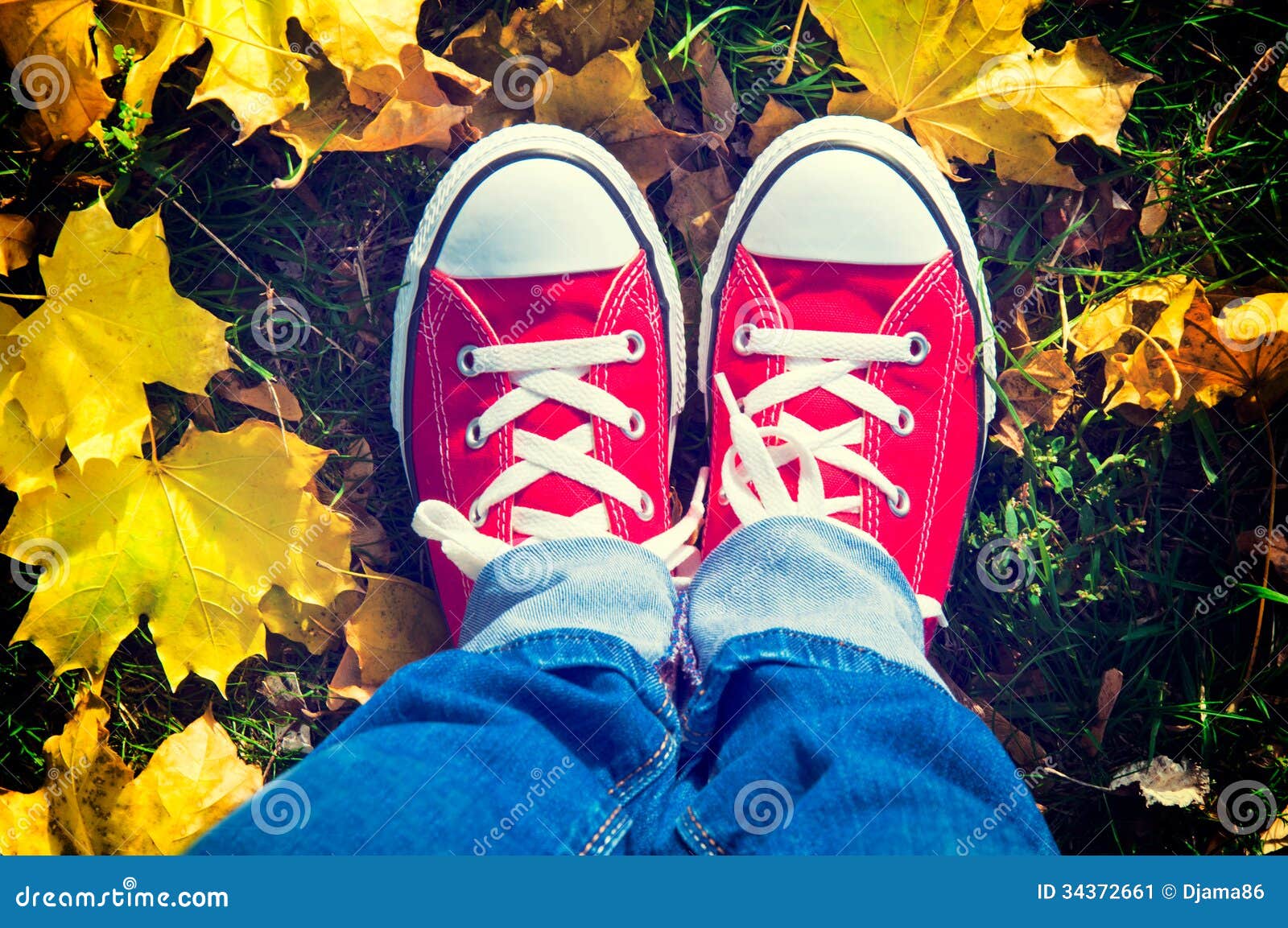 es suficiente cirujano Rusia Zapatos en hojas amarillas imagen de archivo. Imagen de movimiento -  34372661