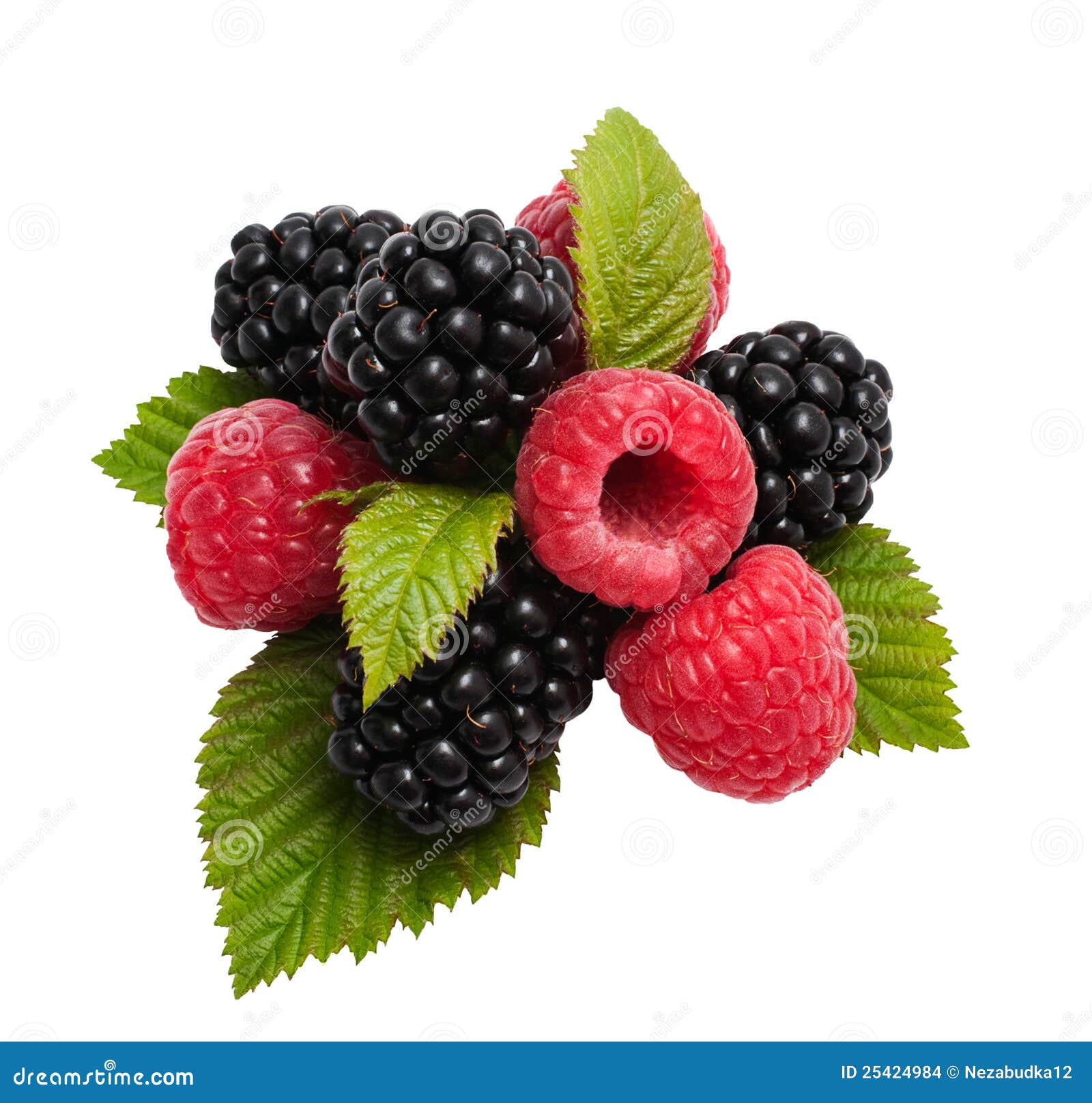Zarzamora y frambuesa foto de archivo. Imagen de frambuesa 25424984