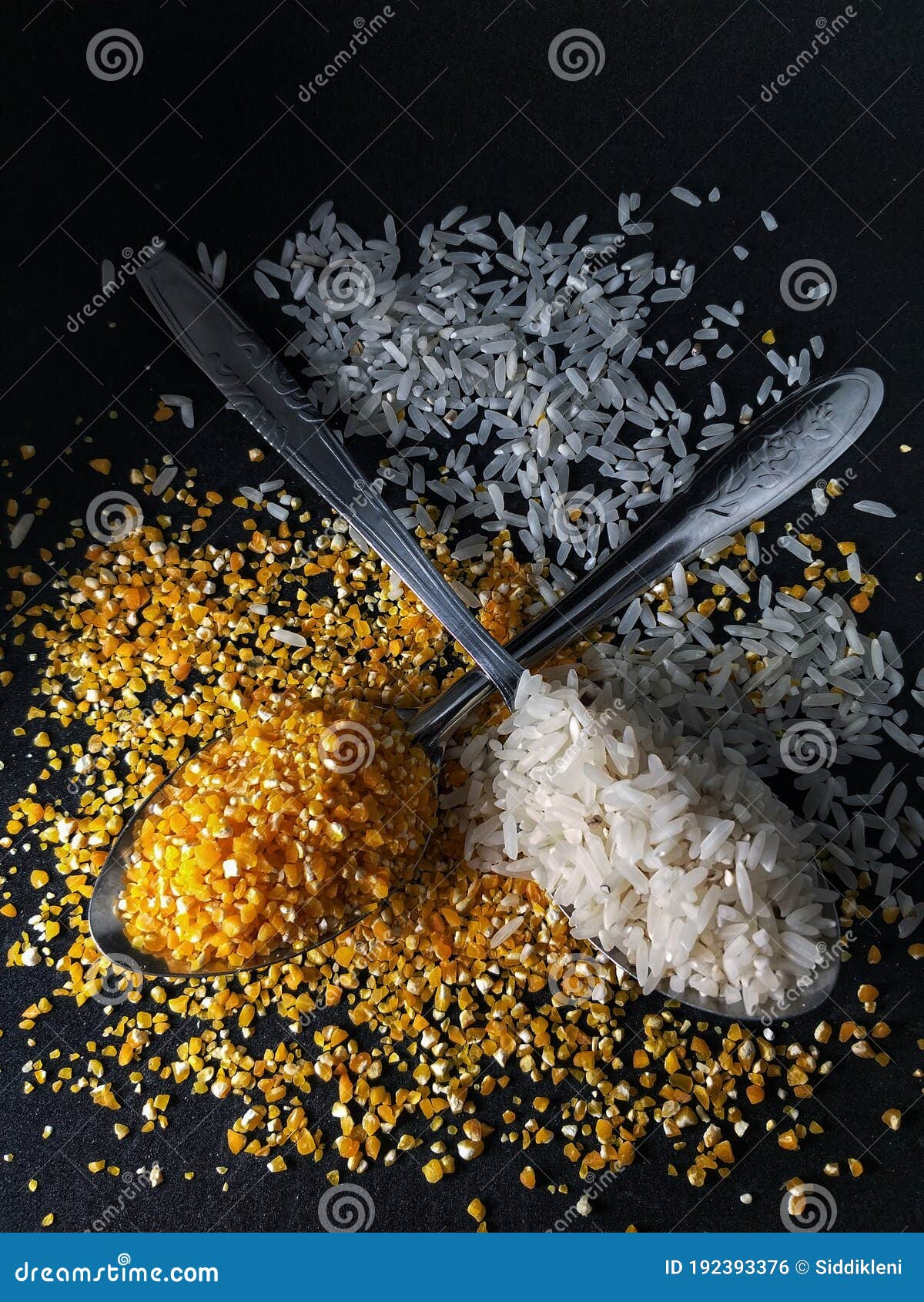 Zea Mays Oryza Sativa Jagung Beras Corn Rice Stock Photo Image of