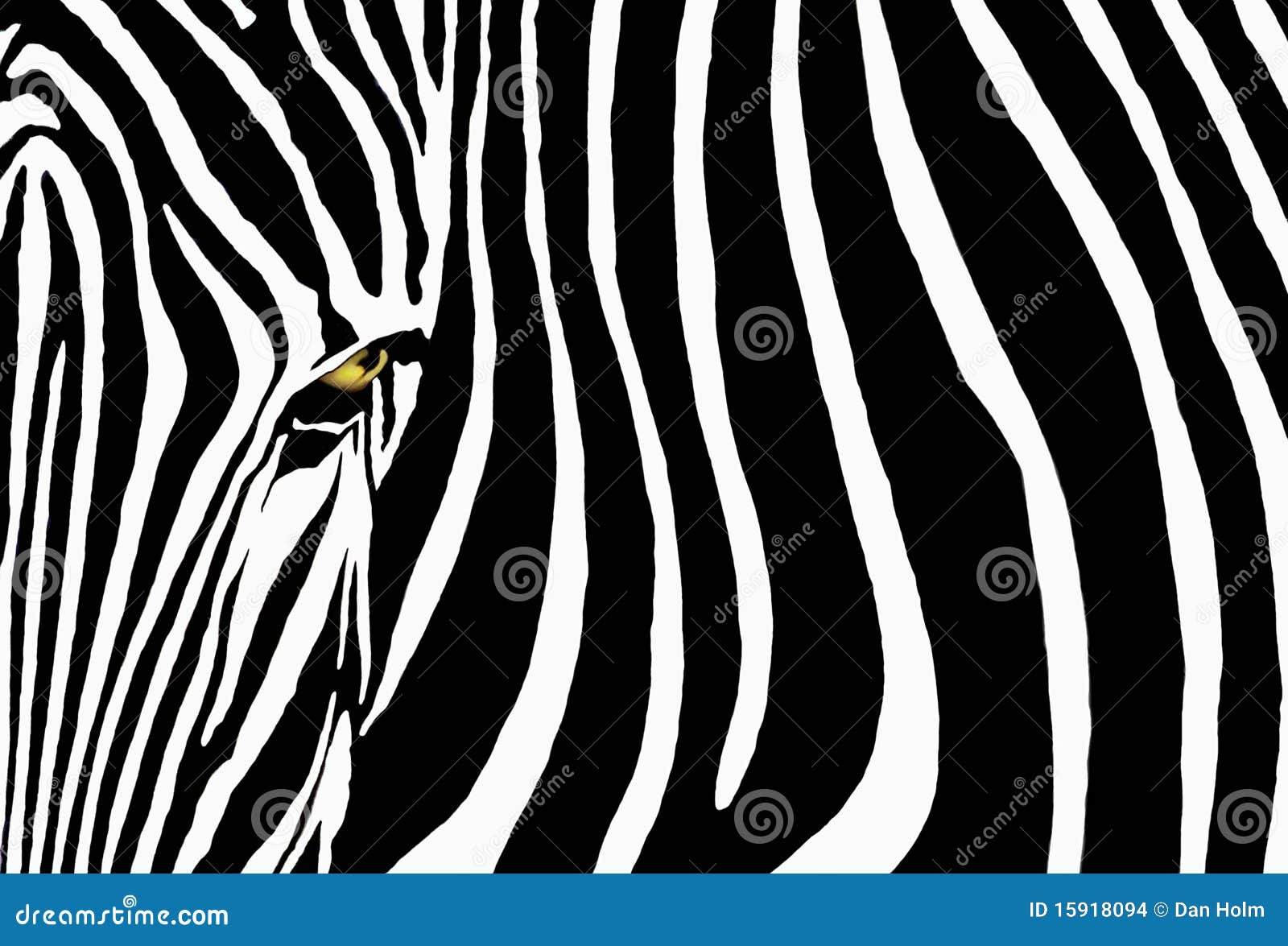 Zebra stock illustration. Illustration of white, zebra - 15918094, image size:1600x1175