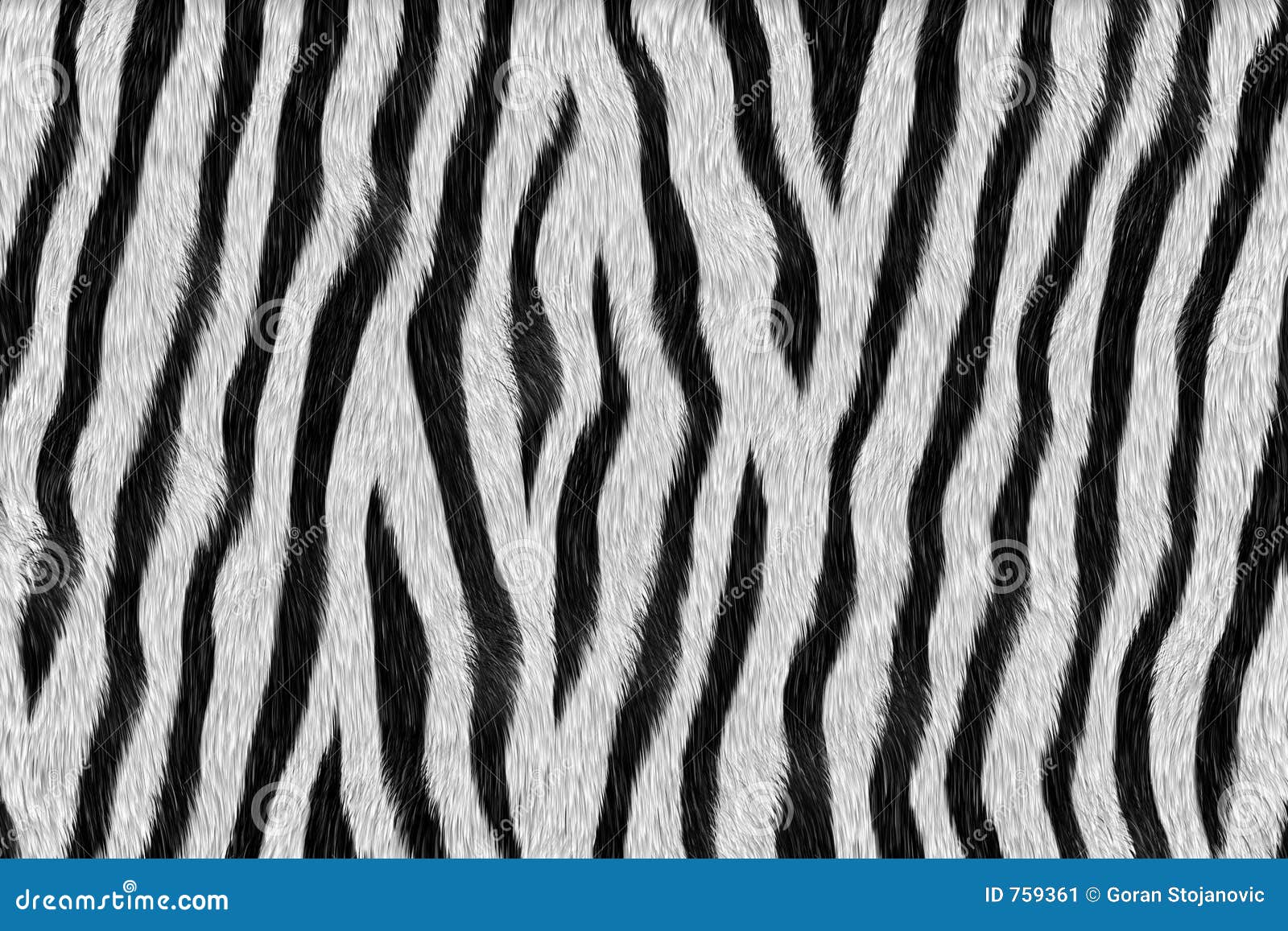 zebra - animal fur