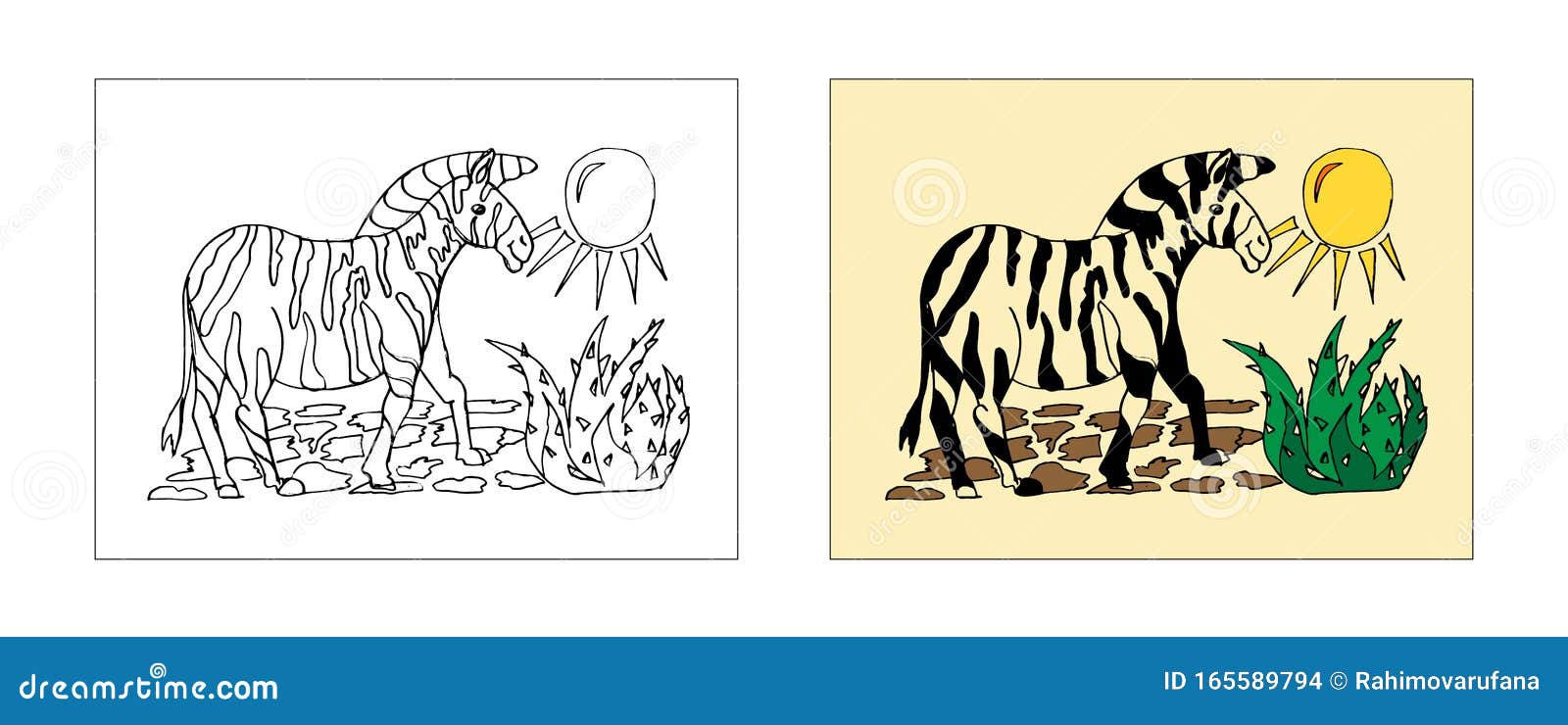 zebra coloring book  with monochrome and colored versions. freehand sketch for adult anti stress coloring book page with