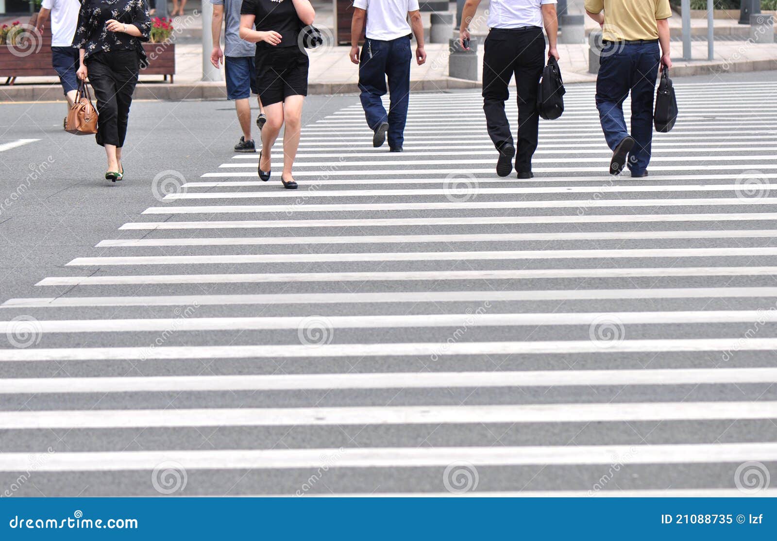 Zebra crossing stock image. Image of asphalt, crossroads 21088735