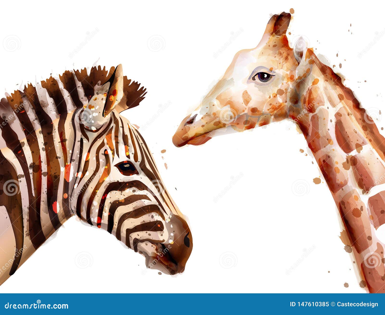 Download Zebra And Giraffe Vector Watercolor. Wildlife Safari Animals Stock Vector - Illustration of ...