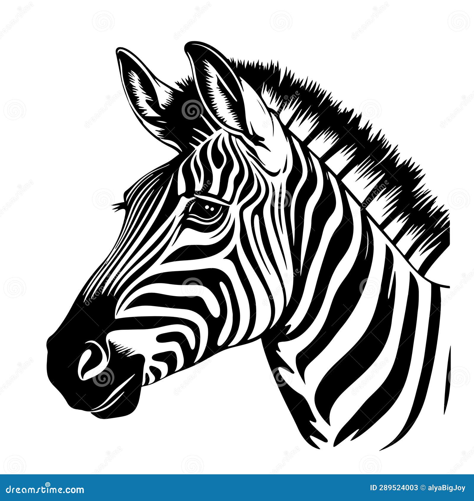 zebra head sketch hand drawn graphic safari animals  