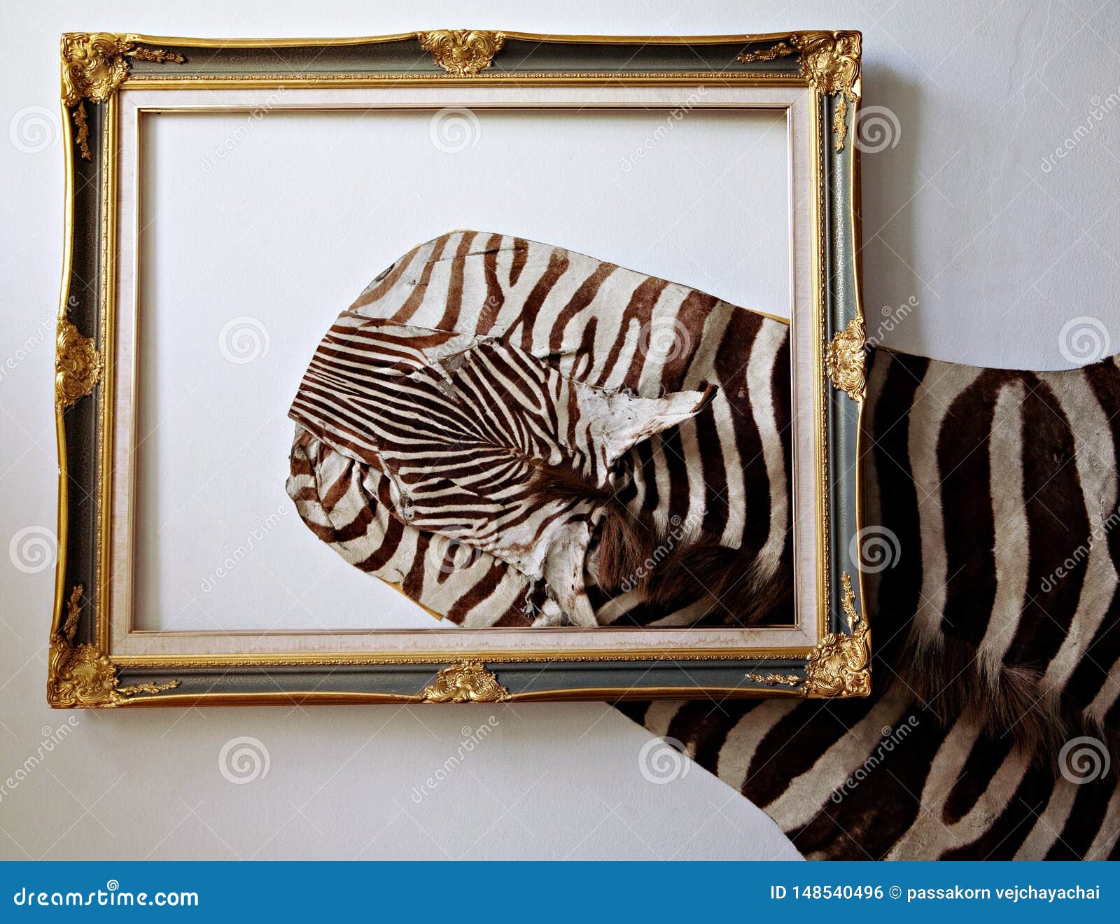 Zebra leather stock photo. Image of detail, fashion 148540496