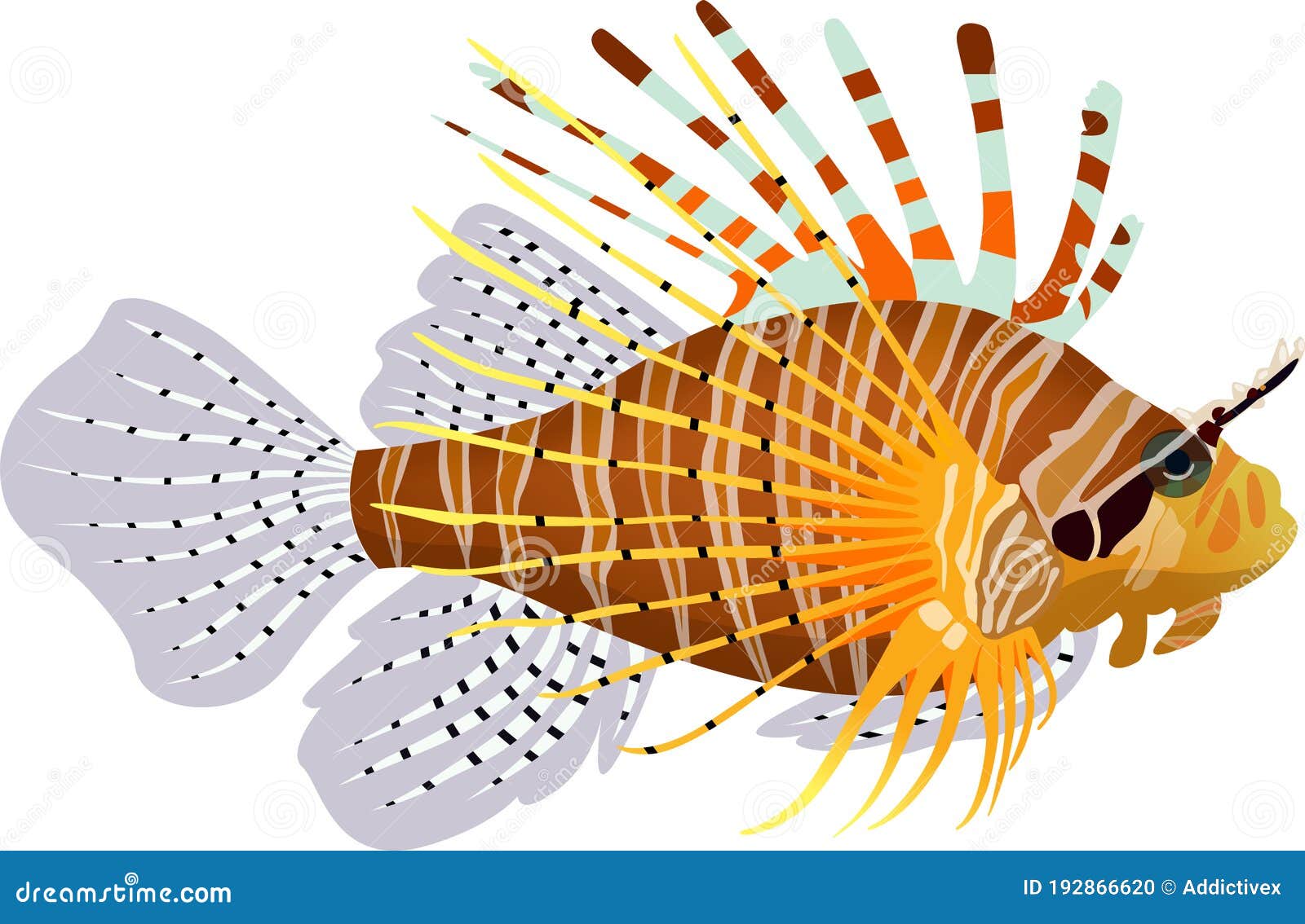 Download Zebra Lionfish stock vector. Illustration of poisonous ...