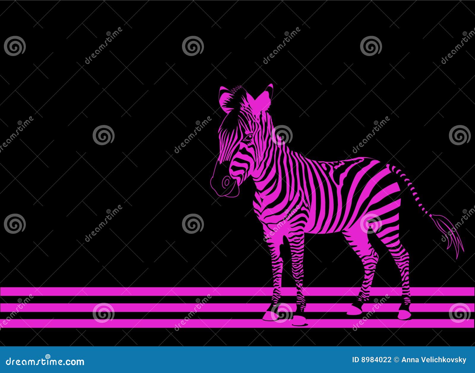 zebra pink