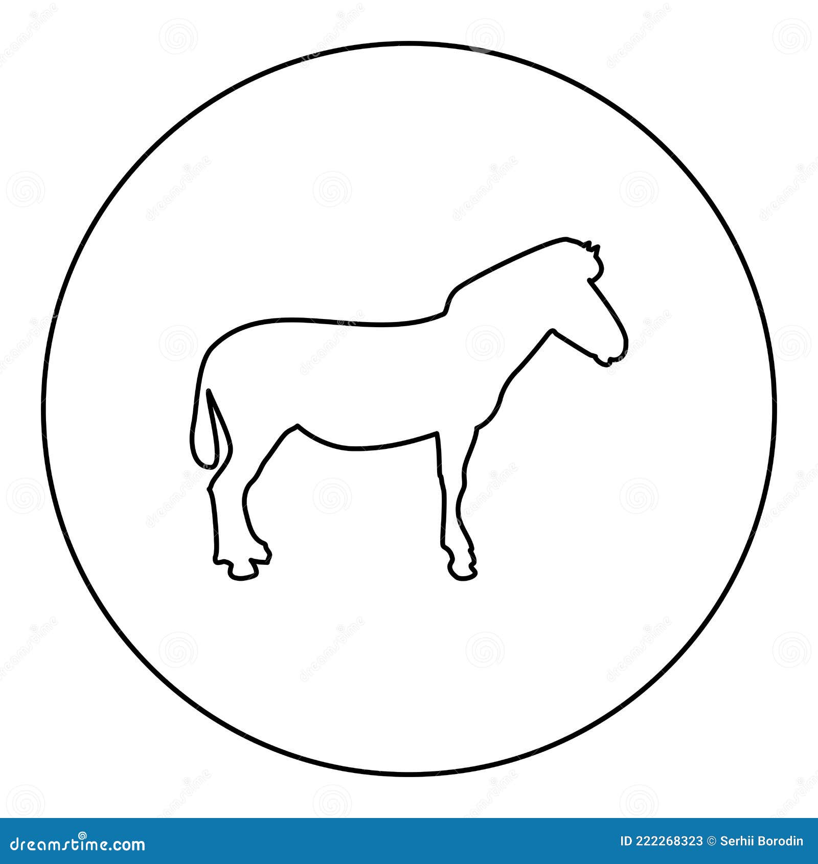 zebra stand animal standing silhouette in circle round black color   contour outline style image