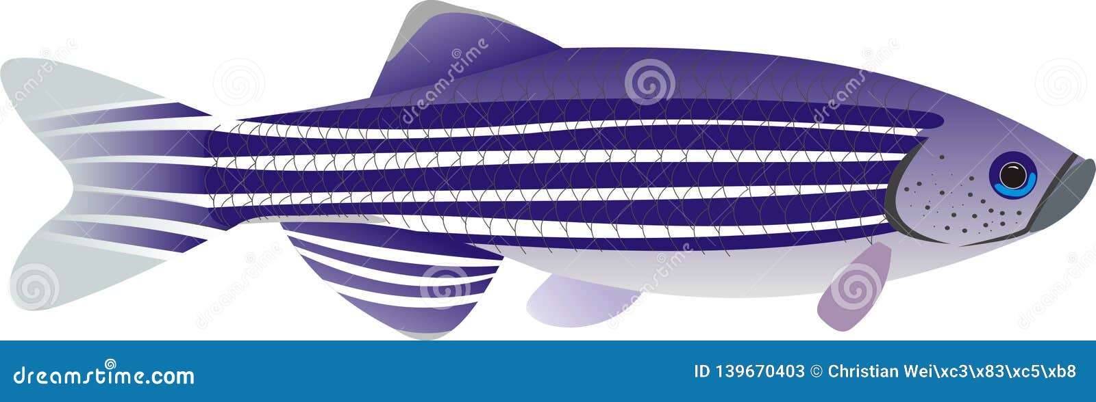 Zebrafish Cartoons, Illustrations & Vector Stock Images - 191 Pictures