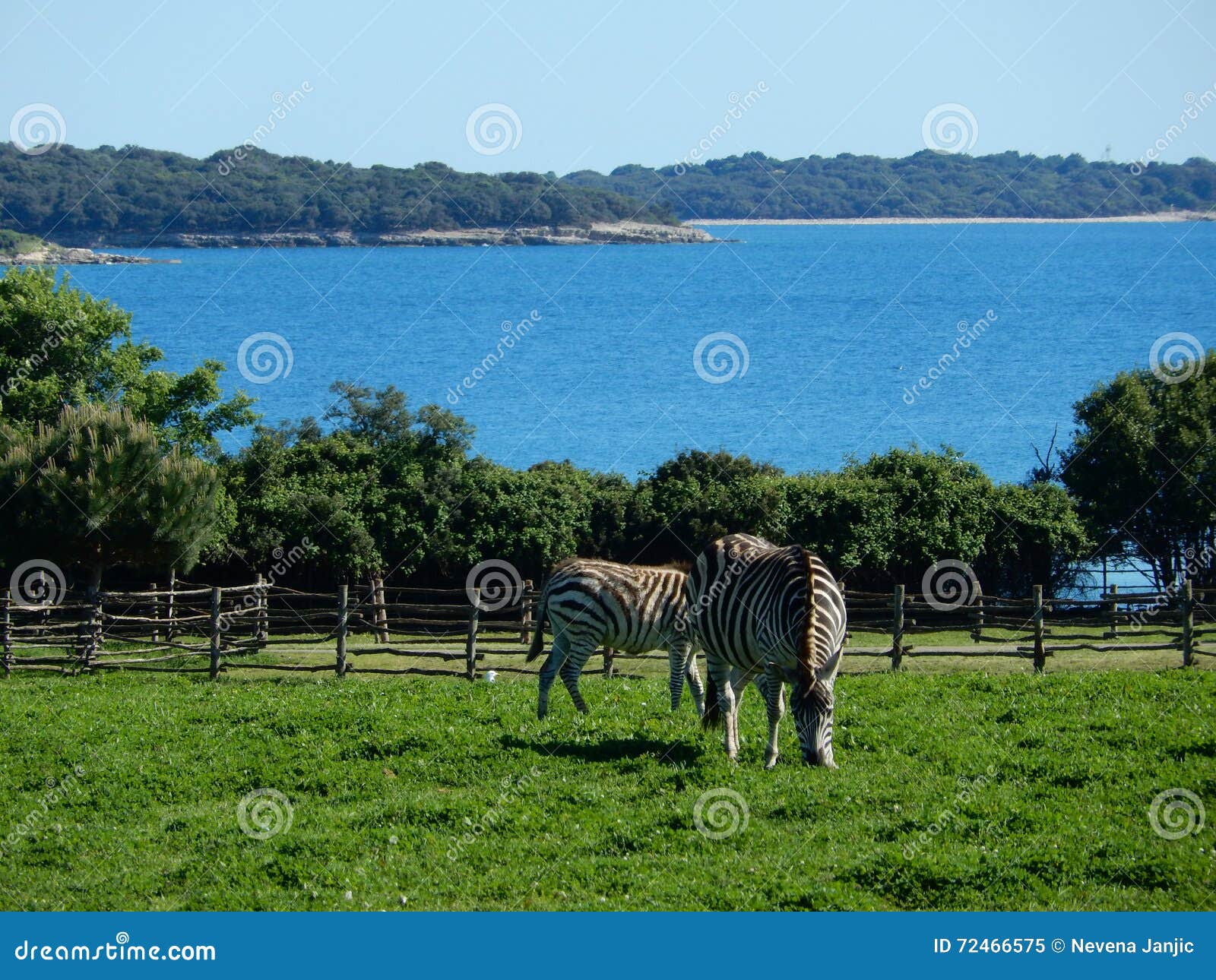 safari park croatia