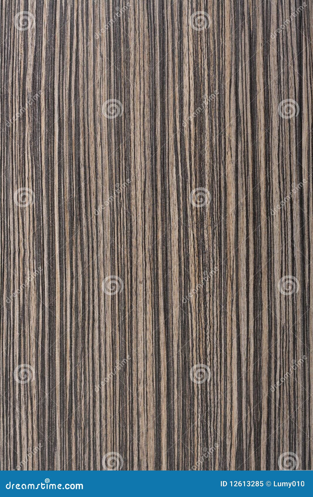 Zebrawood texture stock image. Image of paneling, grain 12613285
